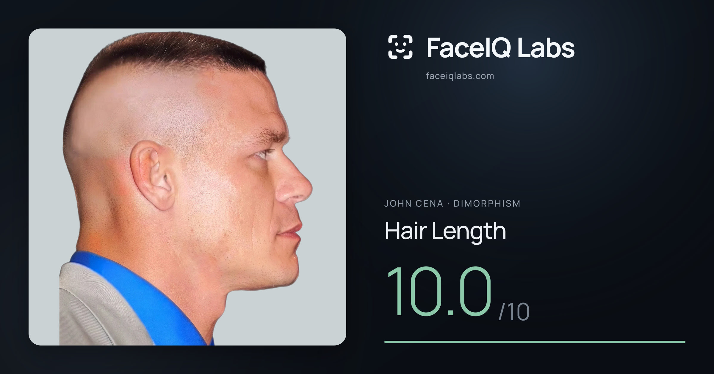 John Cena Hair Length: 10.0/10, drawn on the photo