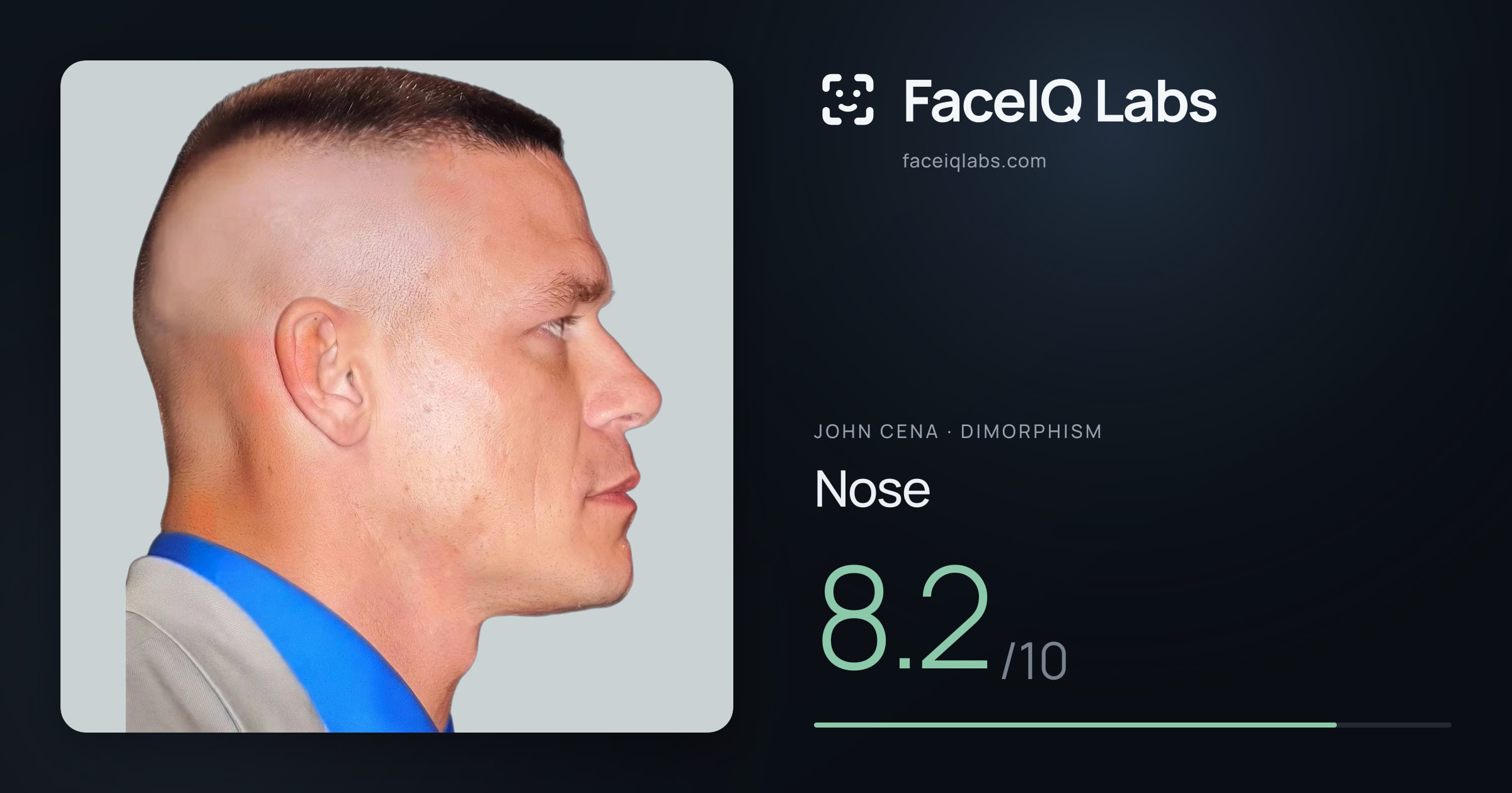John Cena Nose: 8.2/10, drawn on the photo
