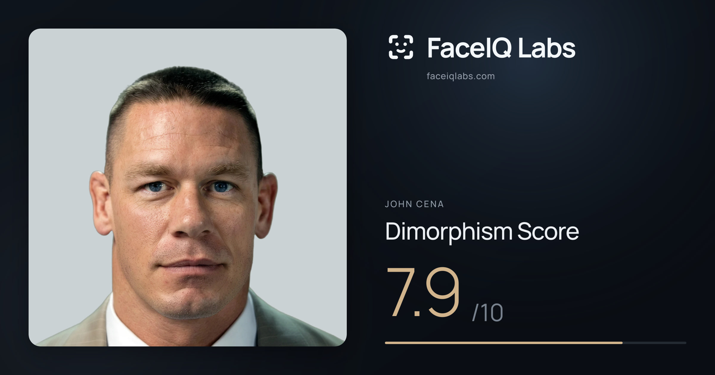 John Cena Dimorphism: 7.9/10, with each assessment drawn on the photo