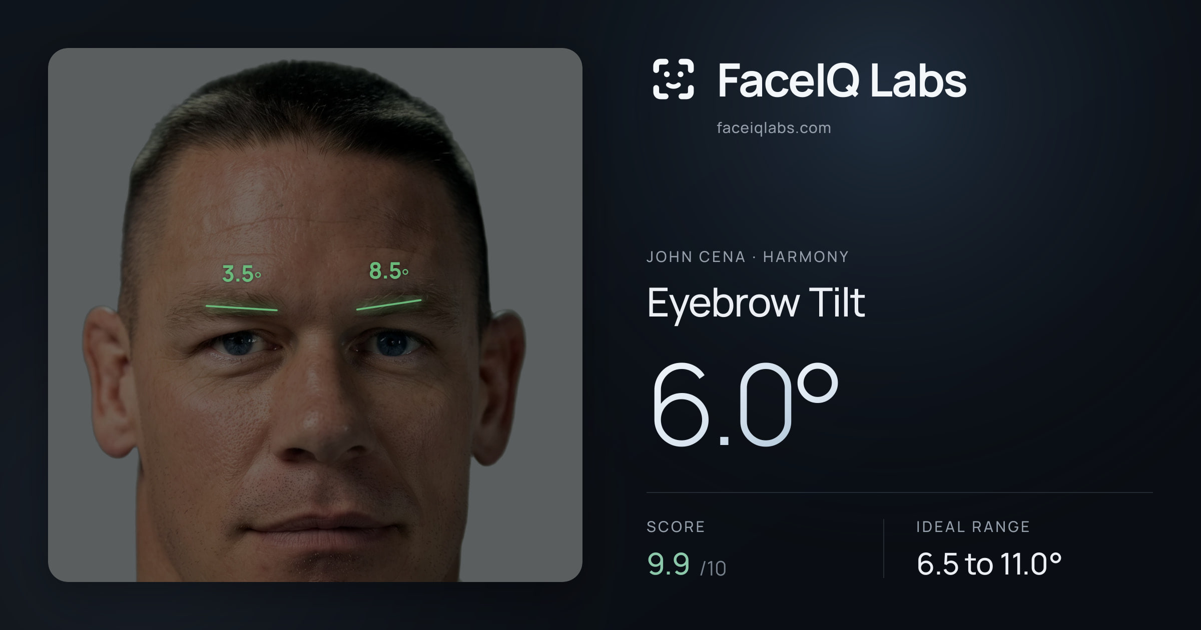 John Cena Eyebrow Tilt: 6.0°, drawn on the photo