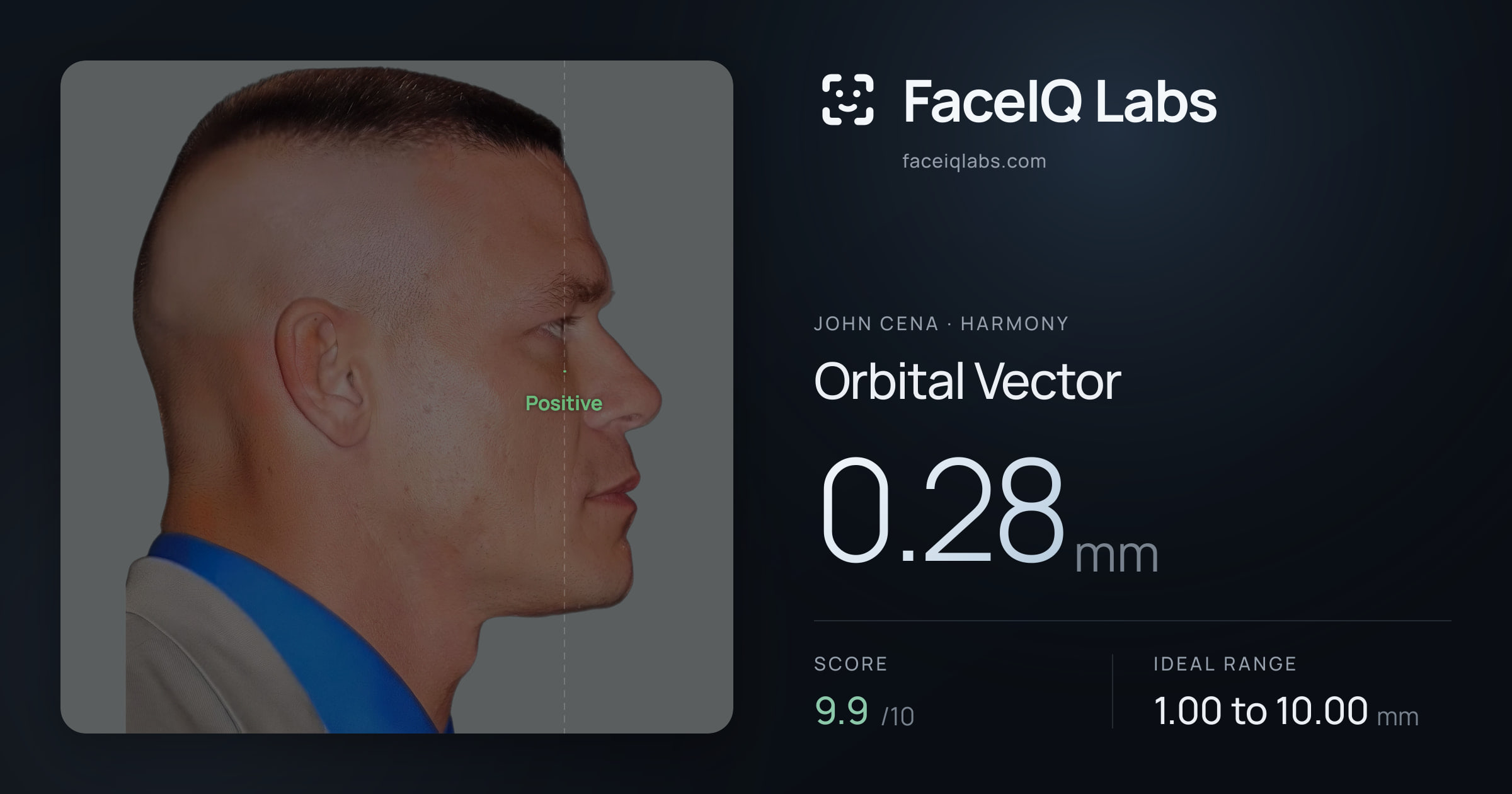 John Cena Orbital Vector: 0.28mm, drawn on the photo