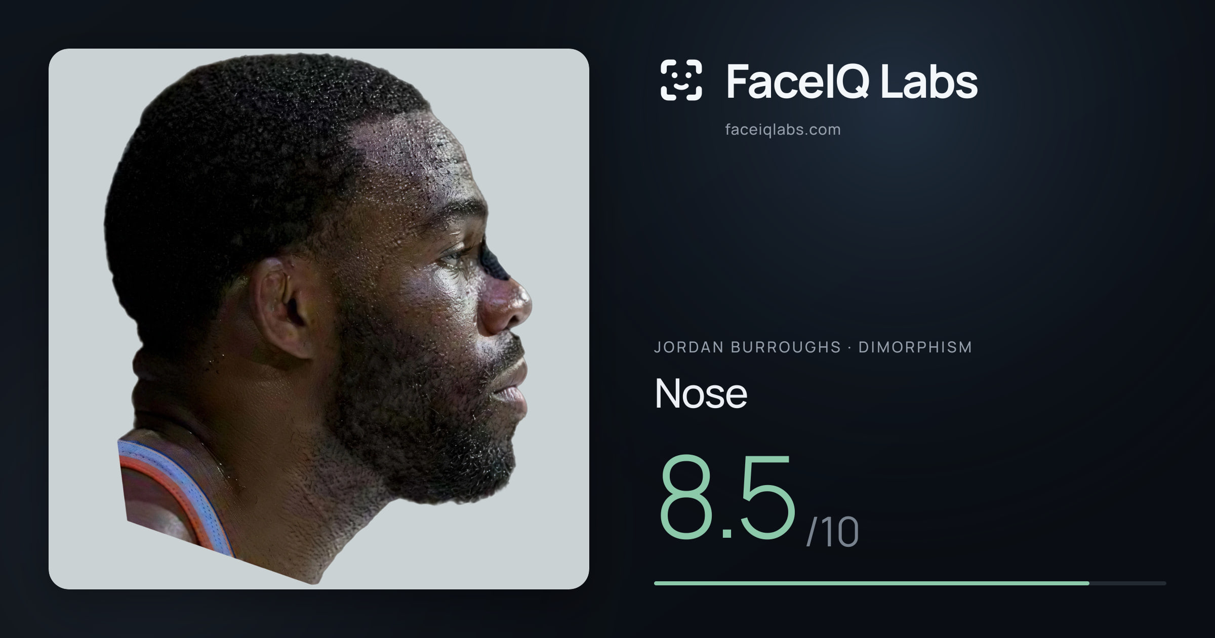 Jordan Burroughs Nose: 8.5/10, drawn on the photo