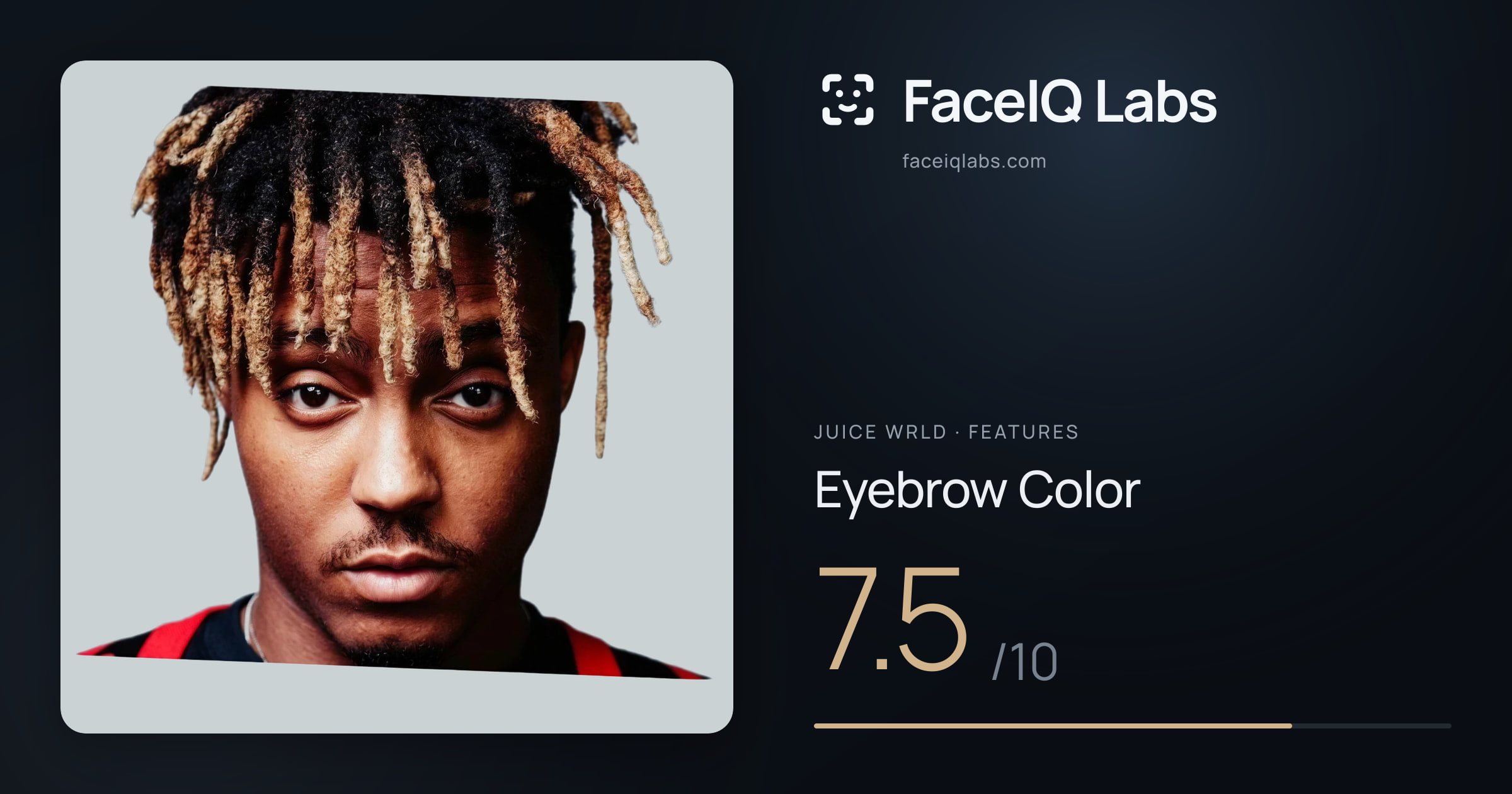 Juice WRLD Eyebrow Color: 7.5/10, drawn on the photo