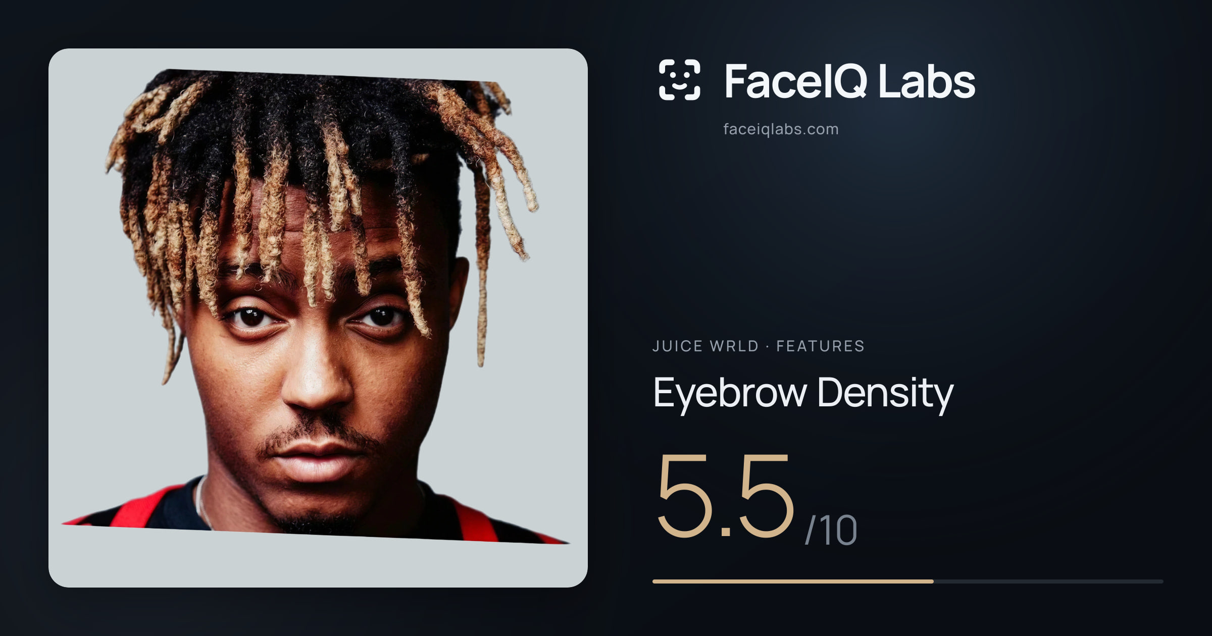 Juice WRLD Eyebrow Density: 5.5/10, drawn on the photo