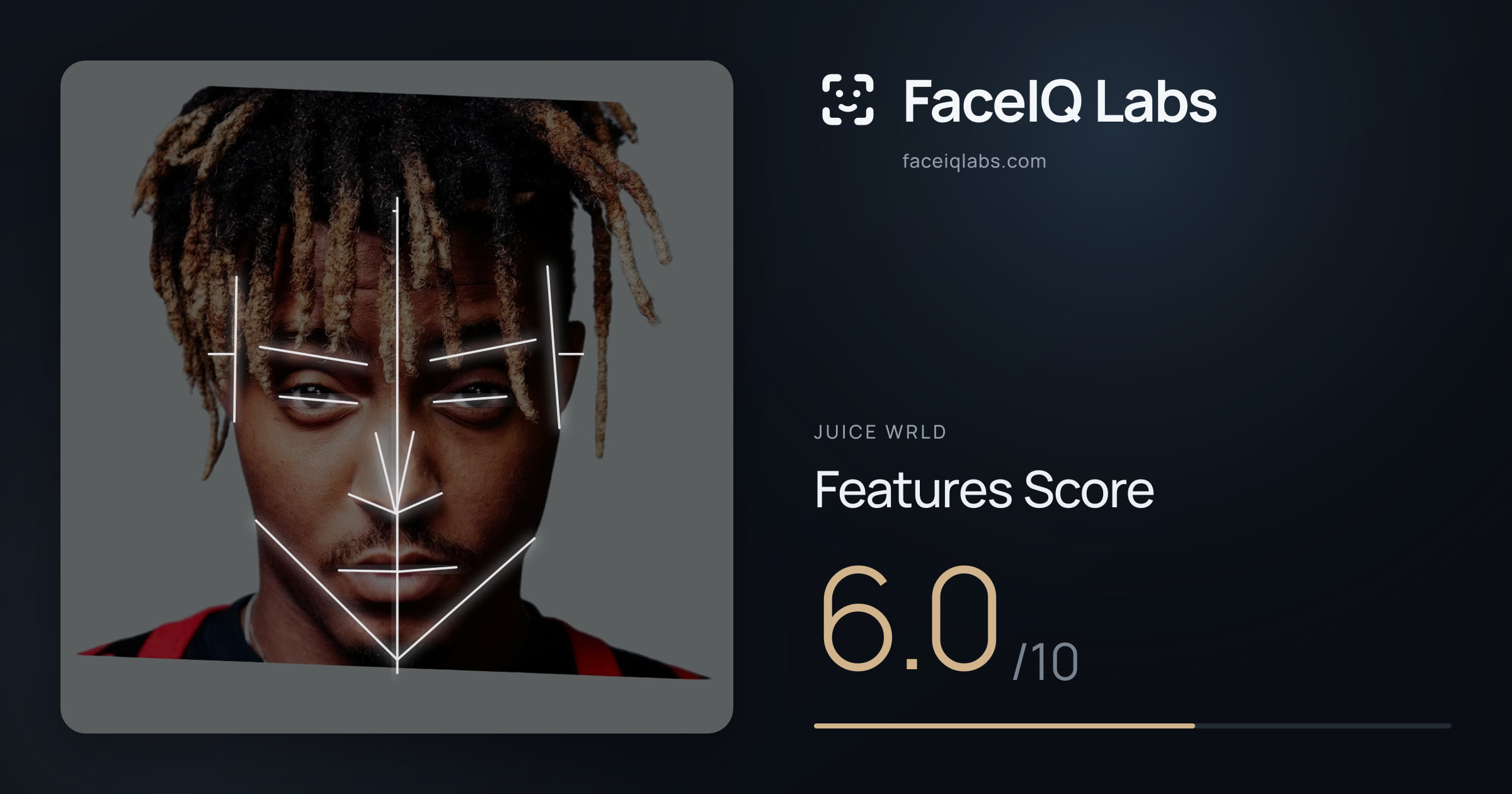 Juice WRLD Features: 6.0/10, with each assessment drawn on the photo