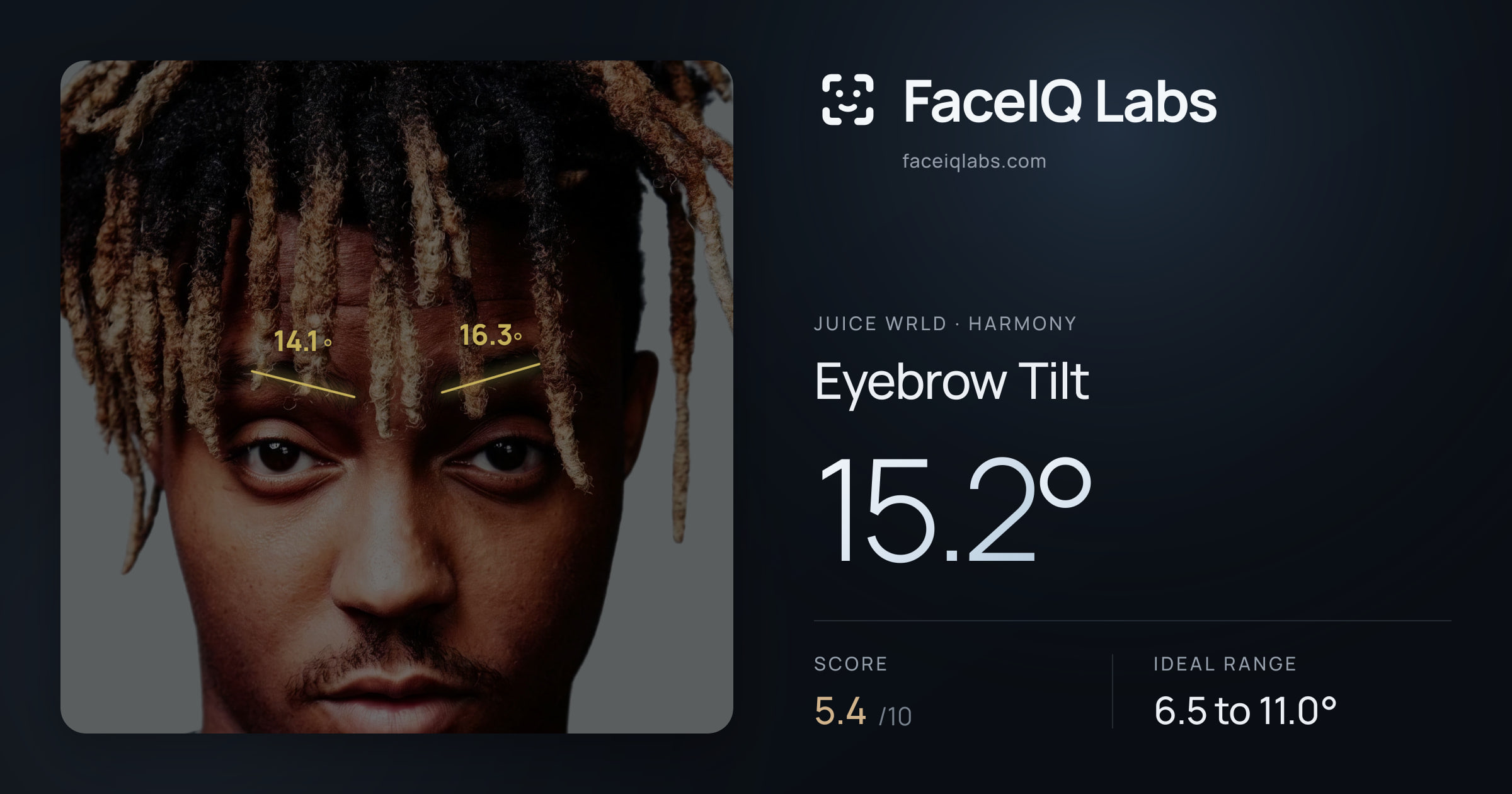 Juice WRLD Eyebrow Tilt: 15.2°, drawn on the photo