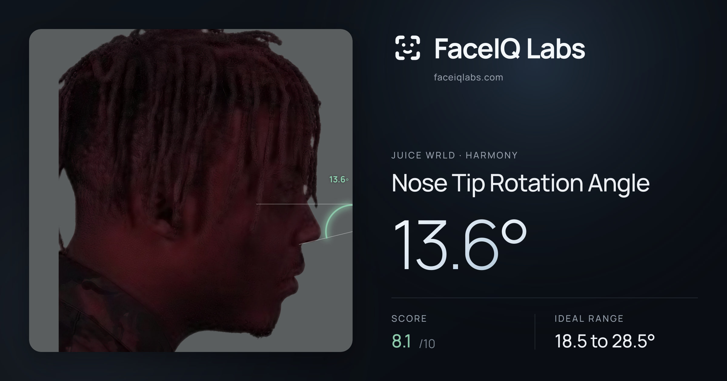 Juice WRLD Nose Tip Rotation Angle: 13.6°, drawn on the photo