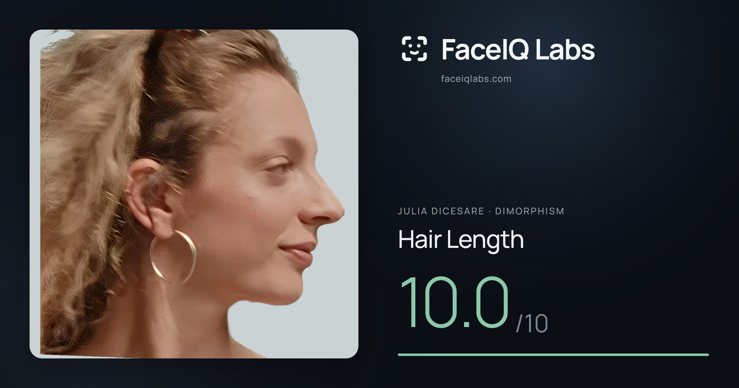 Julia DiCesare Hair Length: 10.0/10, drawn on the photo
