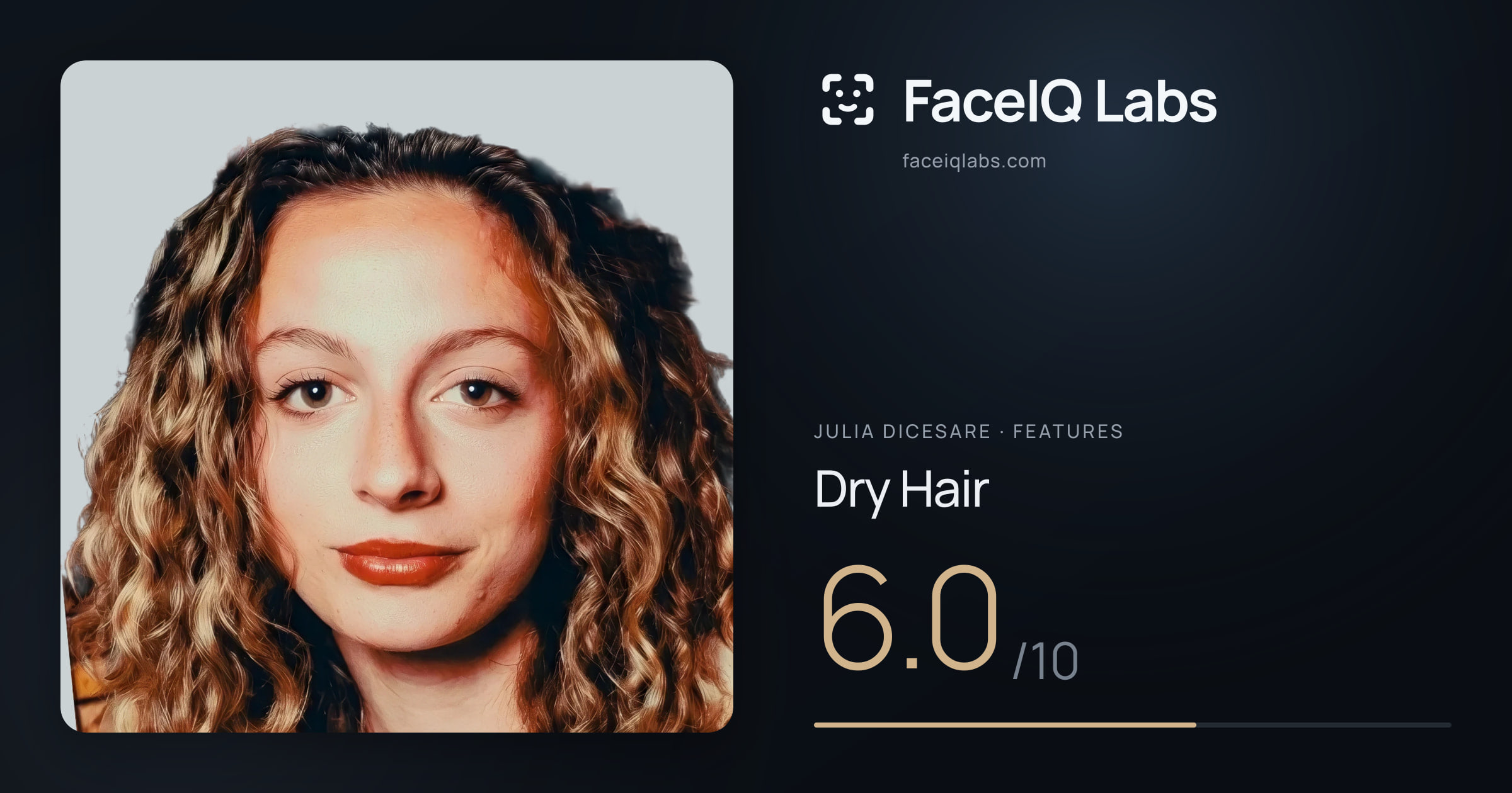 Julia DiCesare Dry Hair: 6.0/10, drawn on the photo