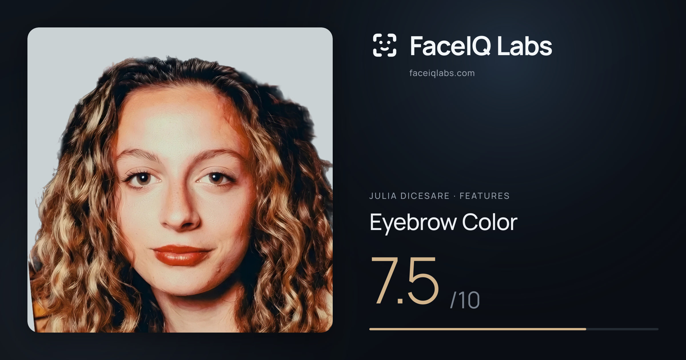 Julia DiCesare Eyebrow Color: 7.5/10, drawn on the photo