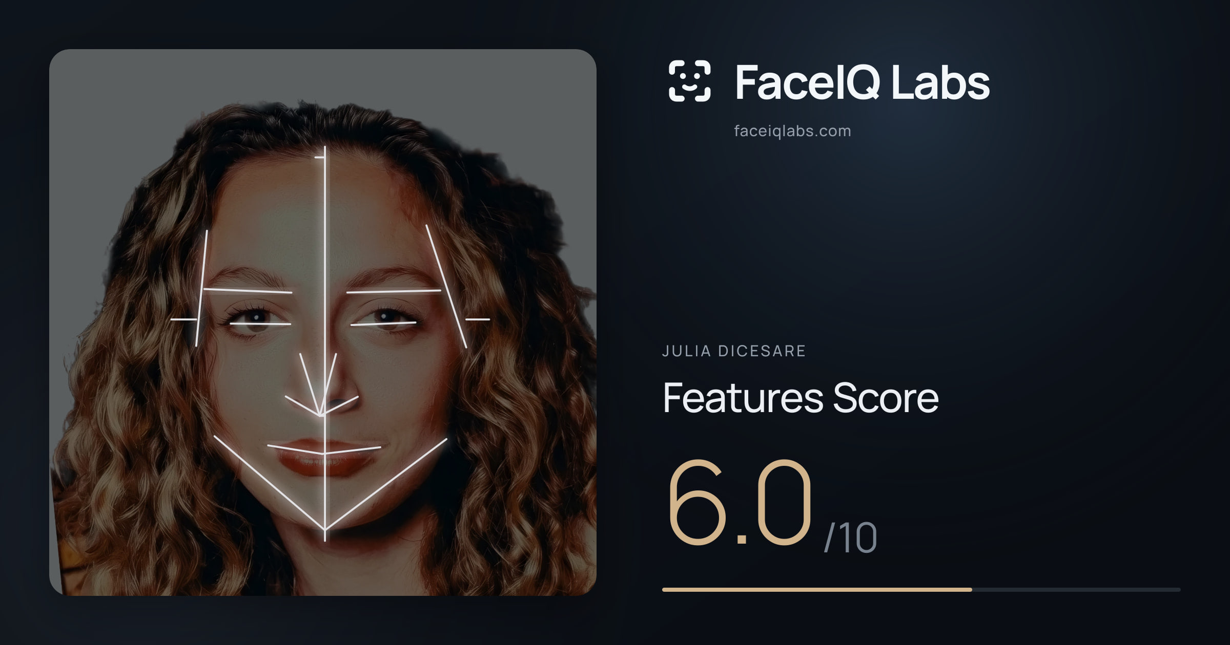 Julia DiCesare Features: 6.0/10, with each assessment drawn on the photo