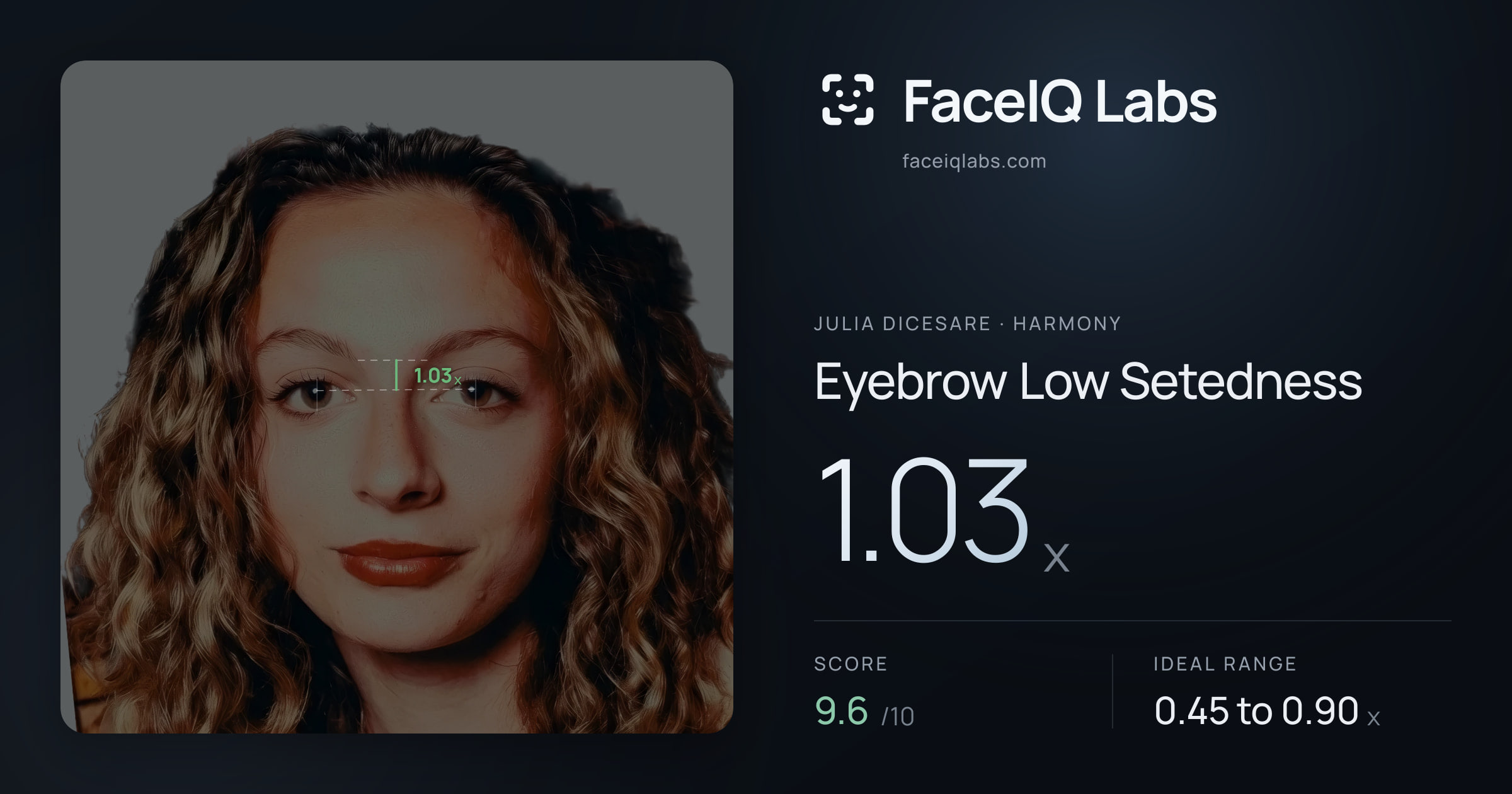 Julia DiCesare Eyebrow Low Setedness: 1.03x, drawn on the photo