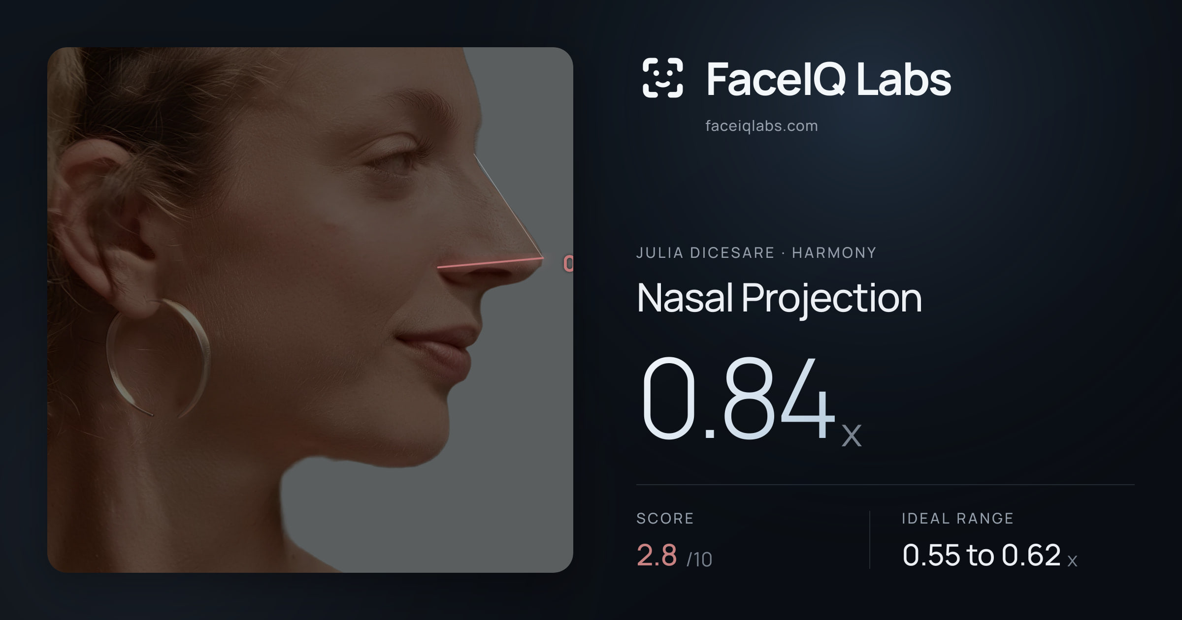 Julia DiCesare Nasal Projection: 0.84x, drawn on the photo