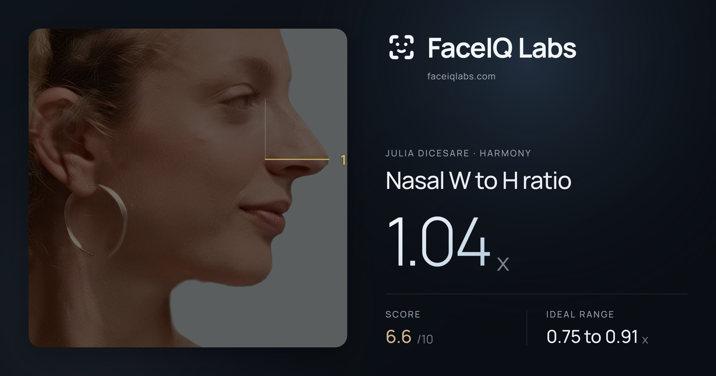 Julia DiCesare Nasal W to H ratio: 1.04x, drawn on the photo