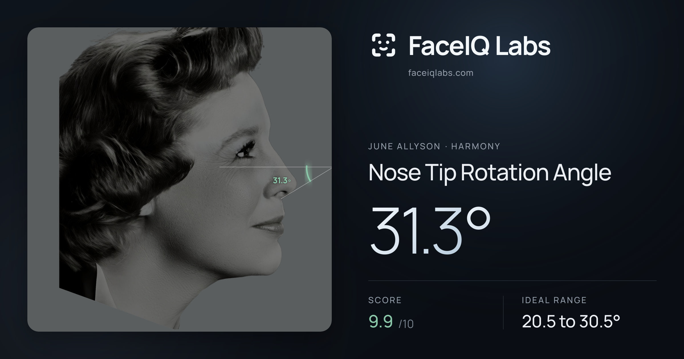 June Allyson Nose Tip Rotation Angle: 31.3°, drawn on the photo