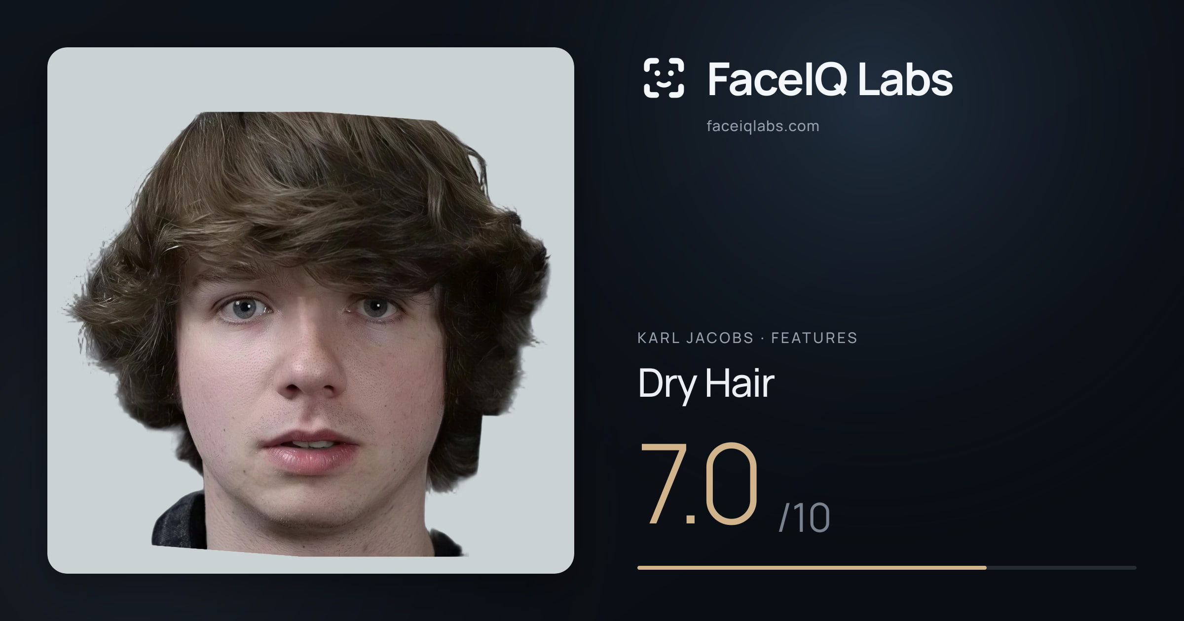 Karl Jacobs Dry Hair: 7.0/10, drawn on the photo