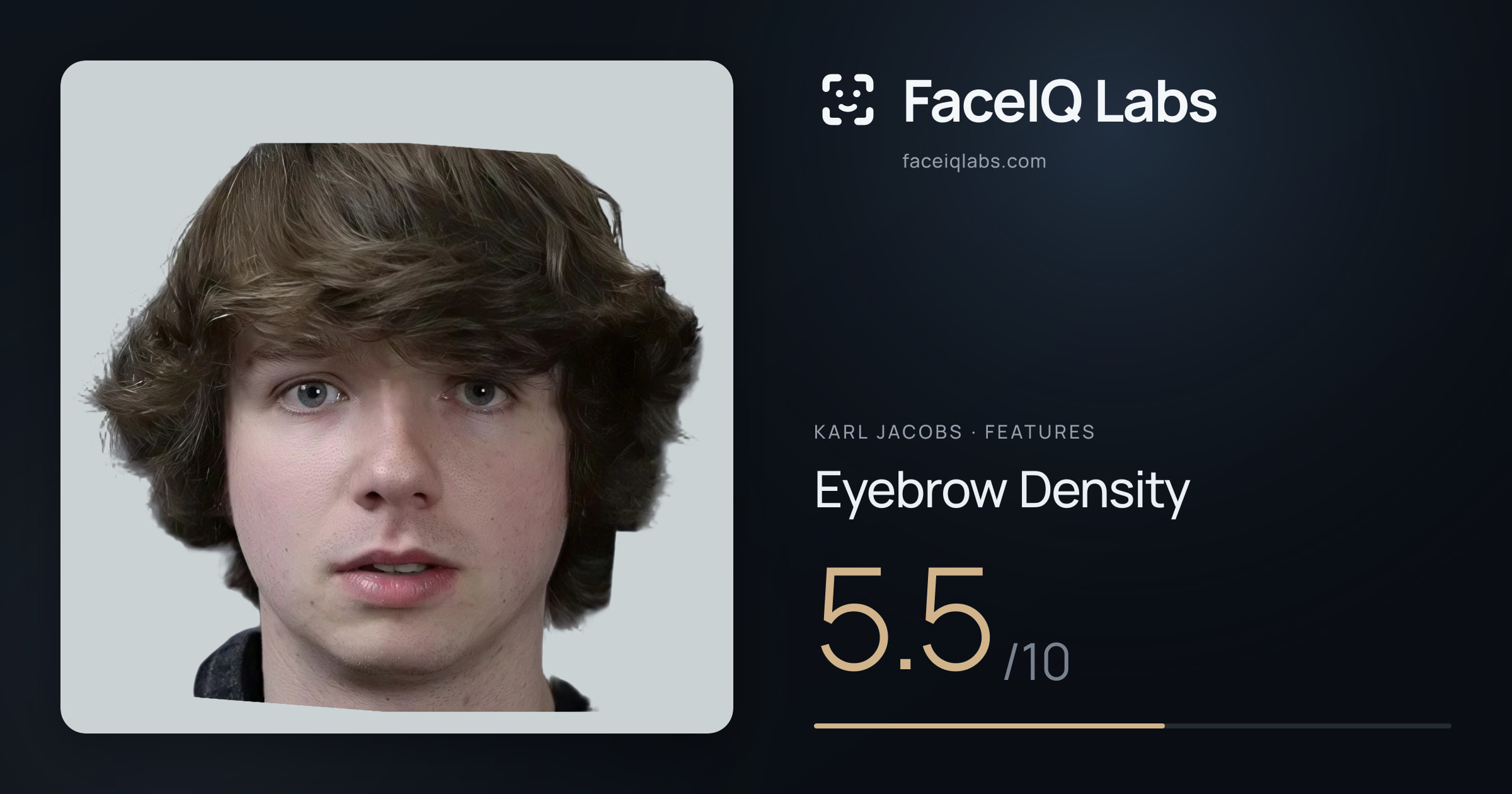 Karl Jacobs Eyebrow Density: 5.5/10, drawn on the photo