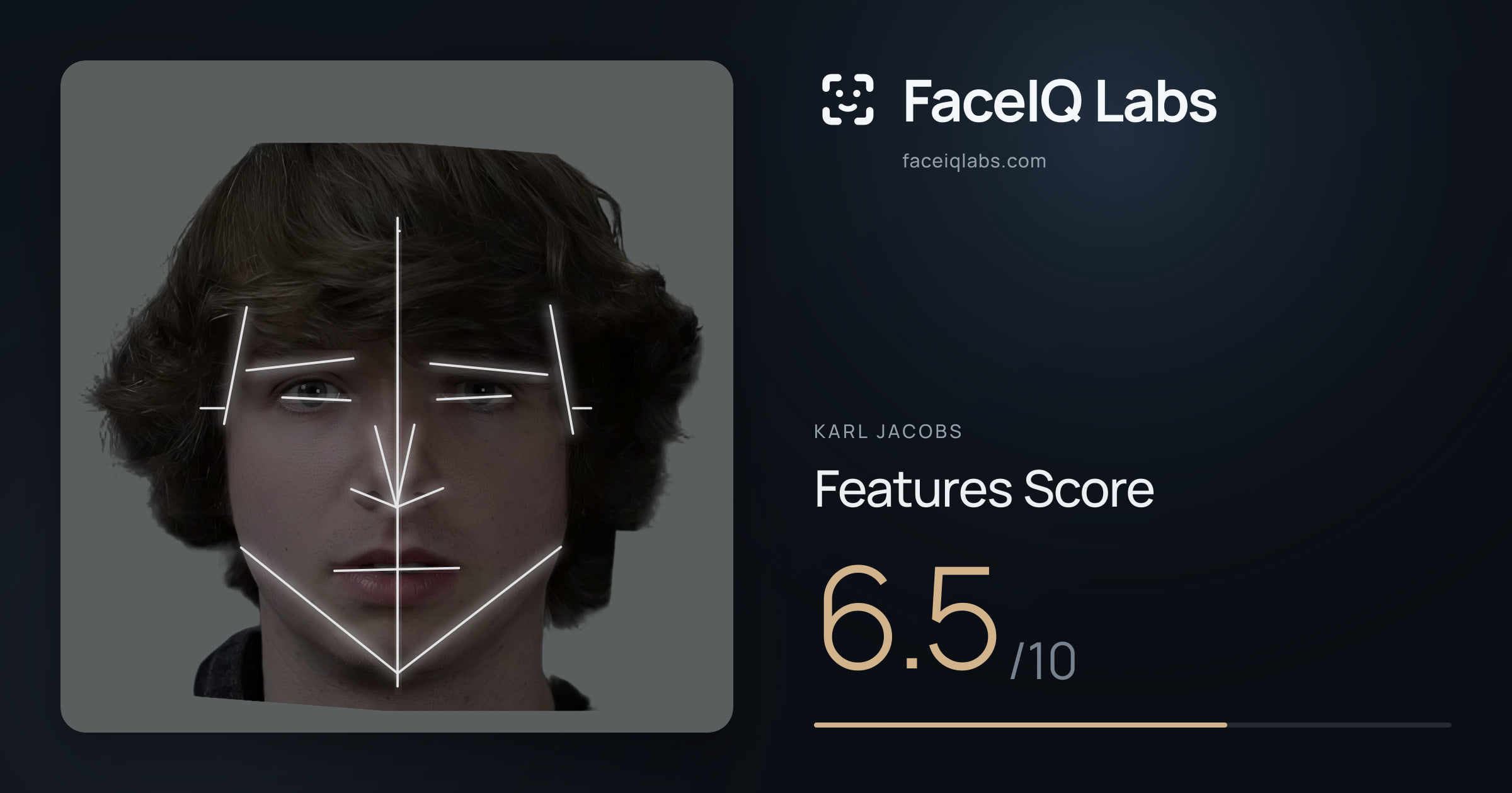 Karl Jacobs Features: 6.5/10, with each assessment drawn on the photo