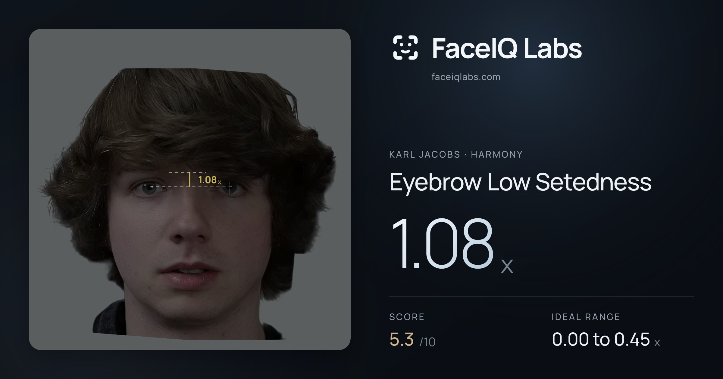 Karl Jacobs Eyebrow Low Setedness: 1.08x, drawn on the photo