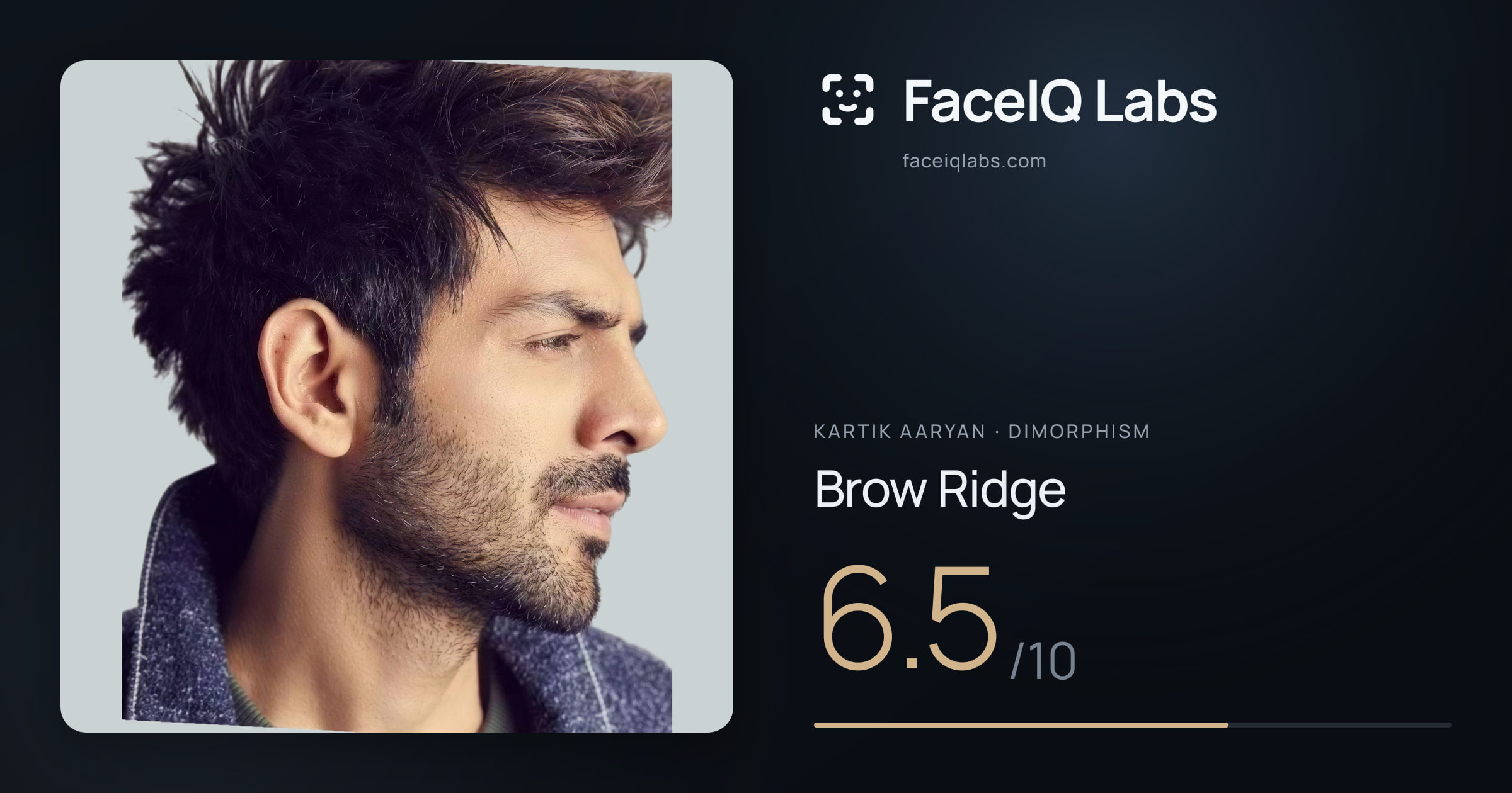 Kartik aaryan Brow Ridge: 6.5/10, drawn on the photo