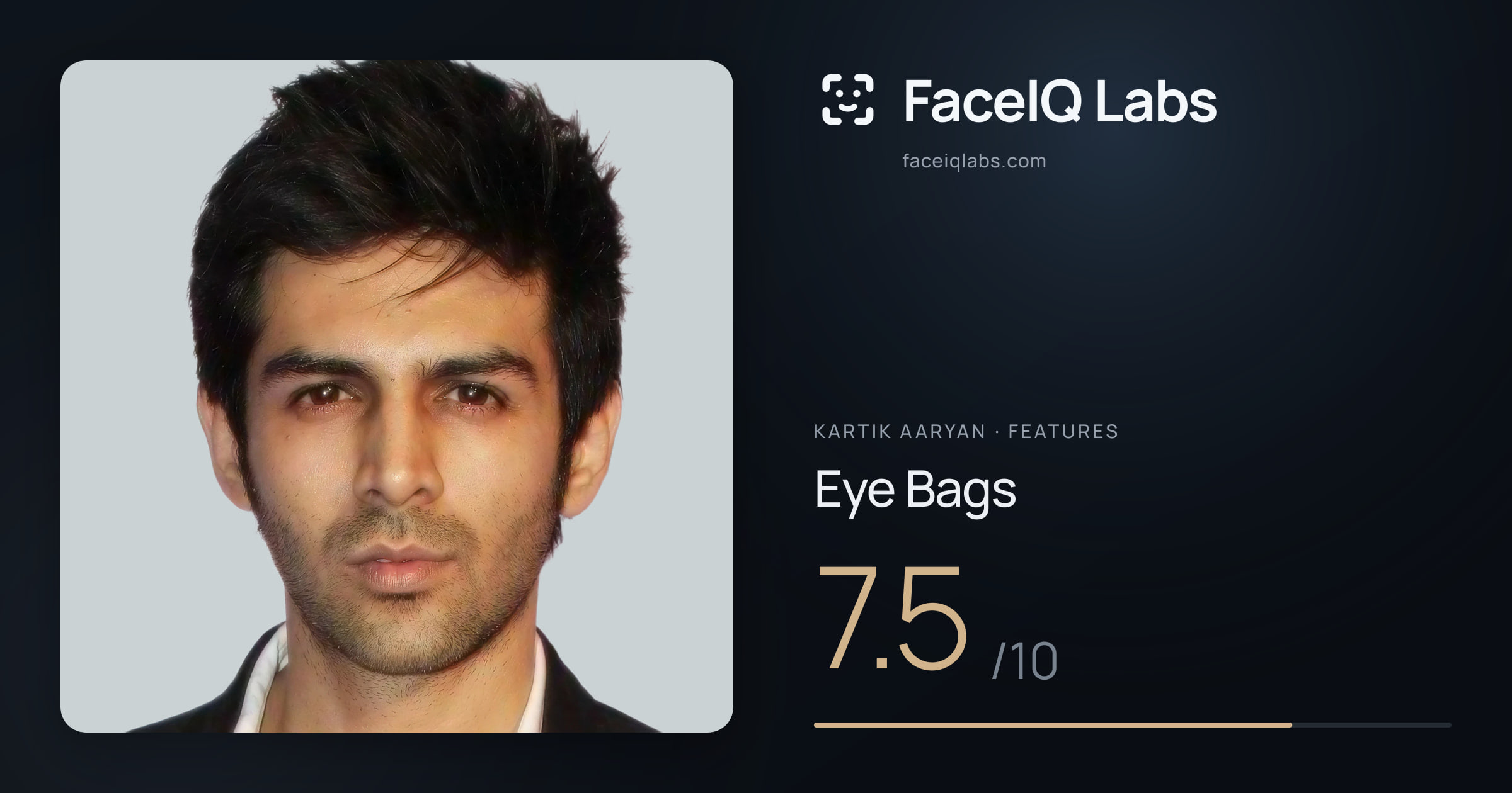 Kartik aaryan Eye Bags: 7.5/10, drawn on the photo