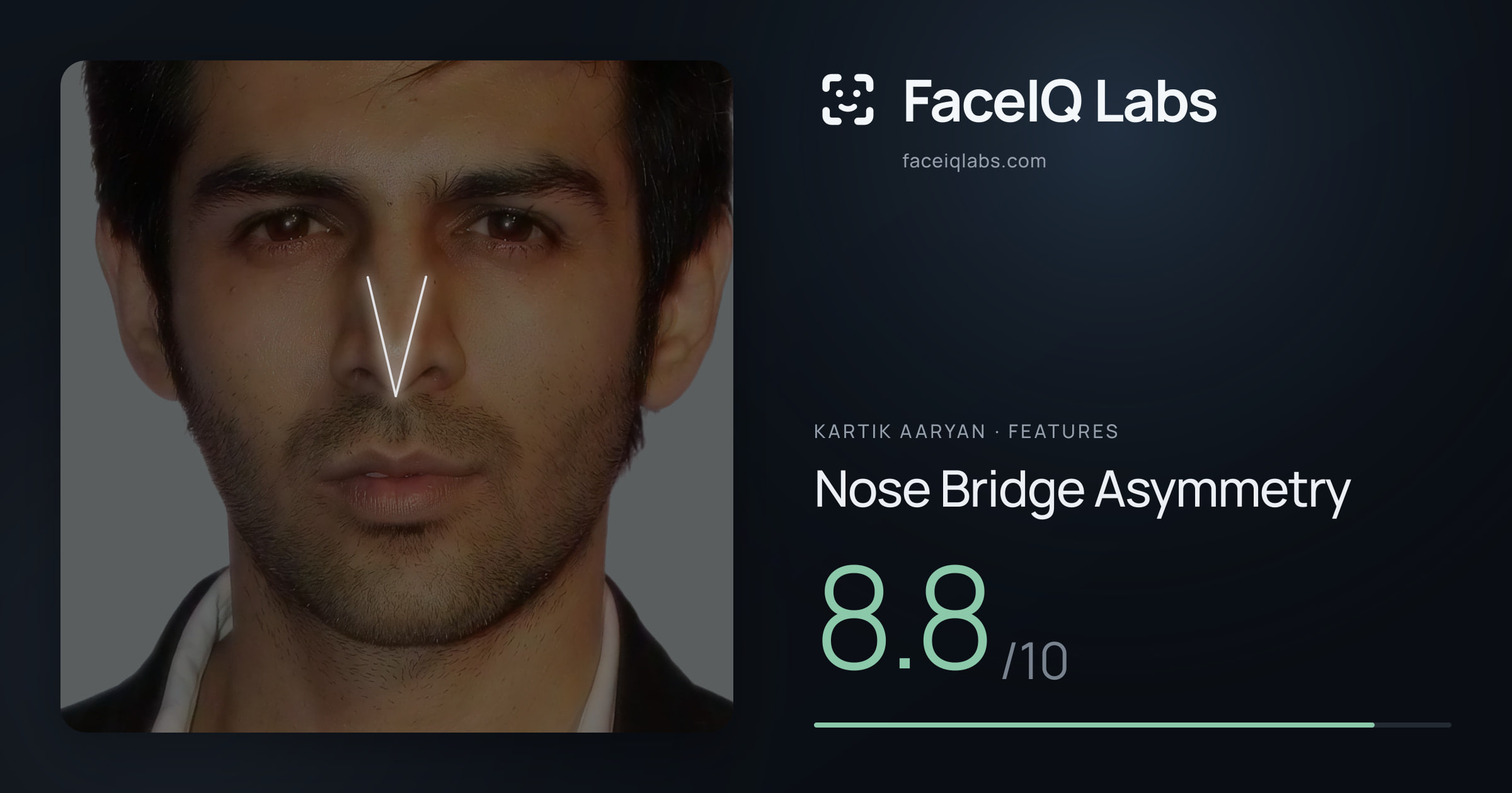 Kartik aaryan Nose Bridge Asymmetry: 8.8/10, drawn on the photo