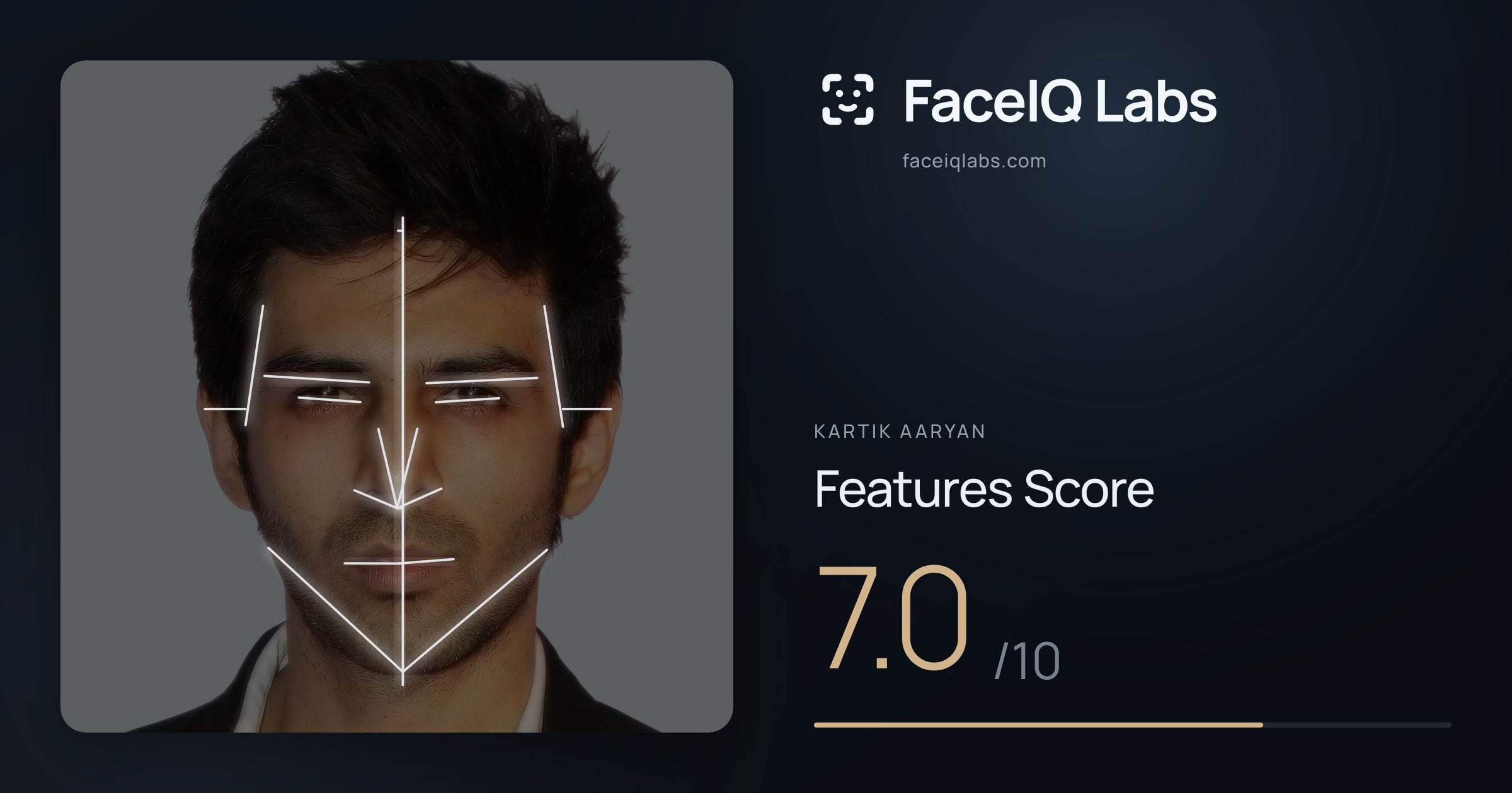 Kartik aaryan Features: 7.0/10, with each assessment drawn on the photo