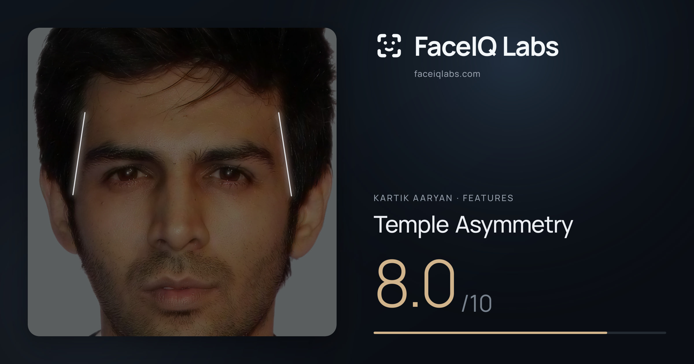 Kartik aaryan Temple Asymmetry: 8.0/10, drawn on the photo