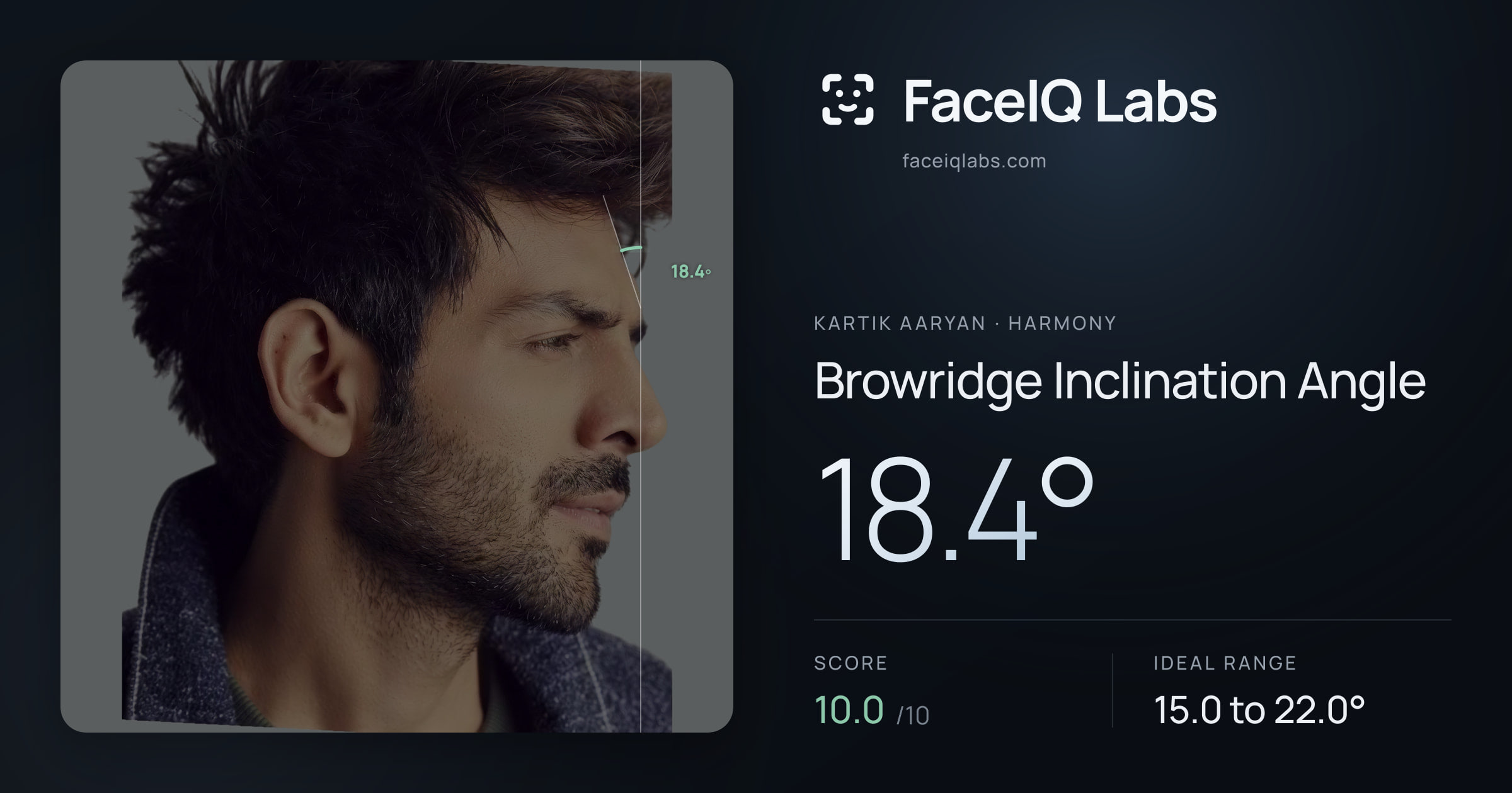 Kartik aaryan Browridge Inclination Angle: 18.4°, drawn on the photo