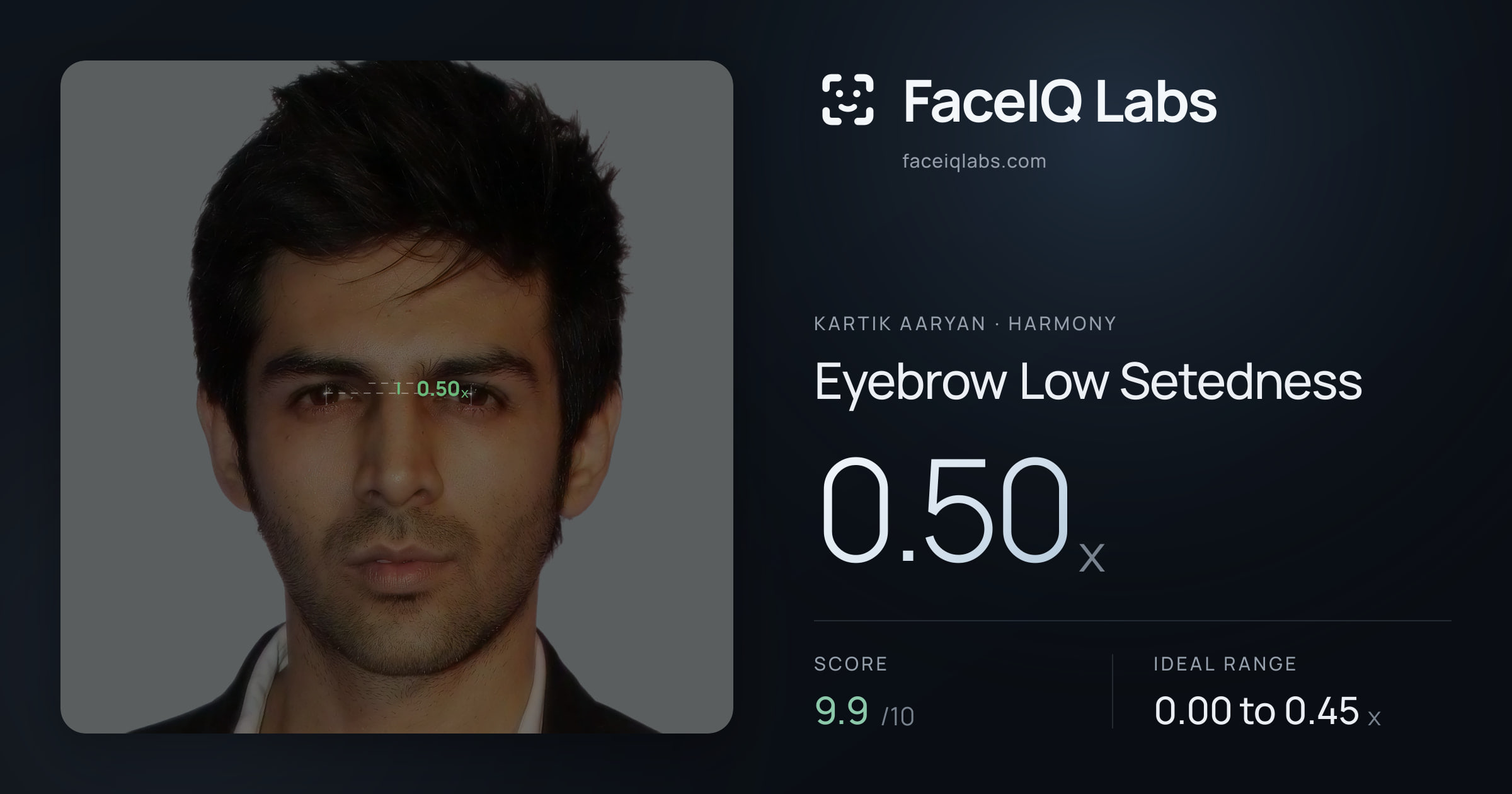 Kartik aaryan Eyebrow Low Setedness: 0.50x, drawn on the photo