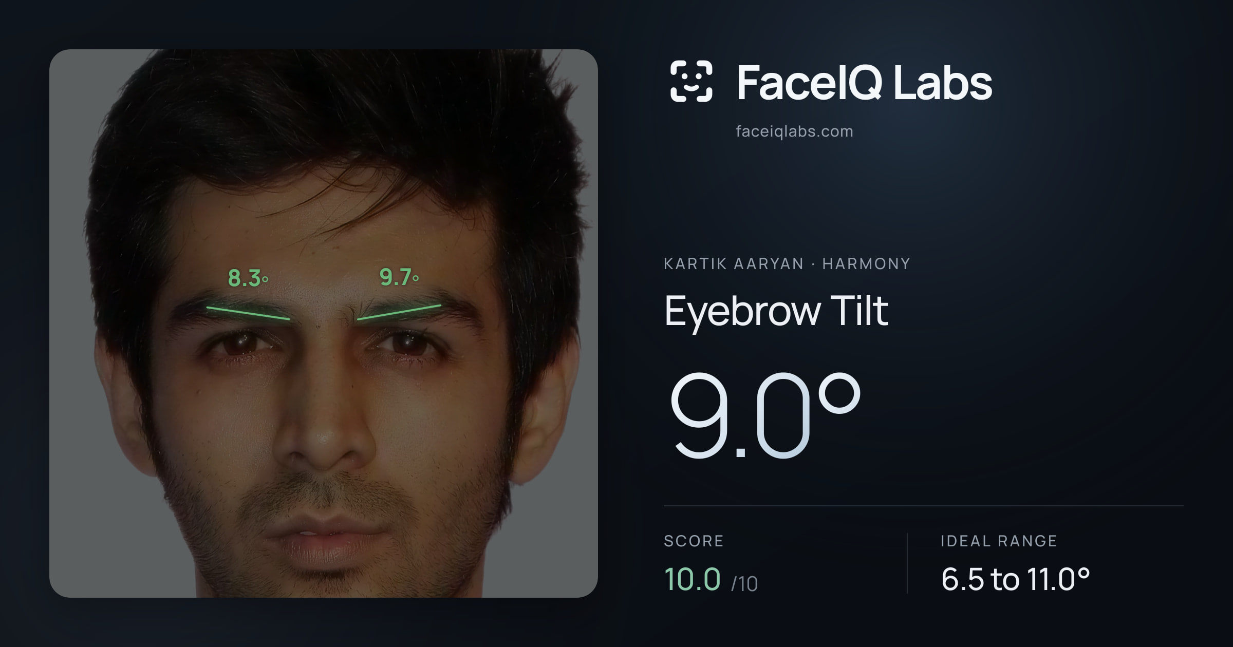 Kartik aaryan Eyebrow Tilt: 9.0°, drawn on the photo