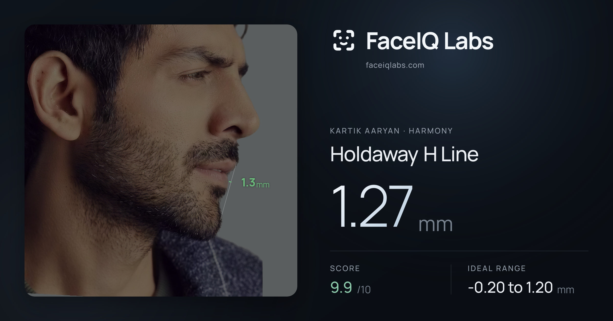 Kartik aaryan Holdaway H Line: 1.27mm, drawn on the photo