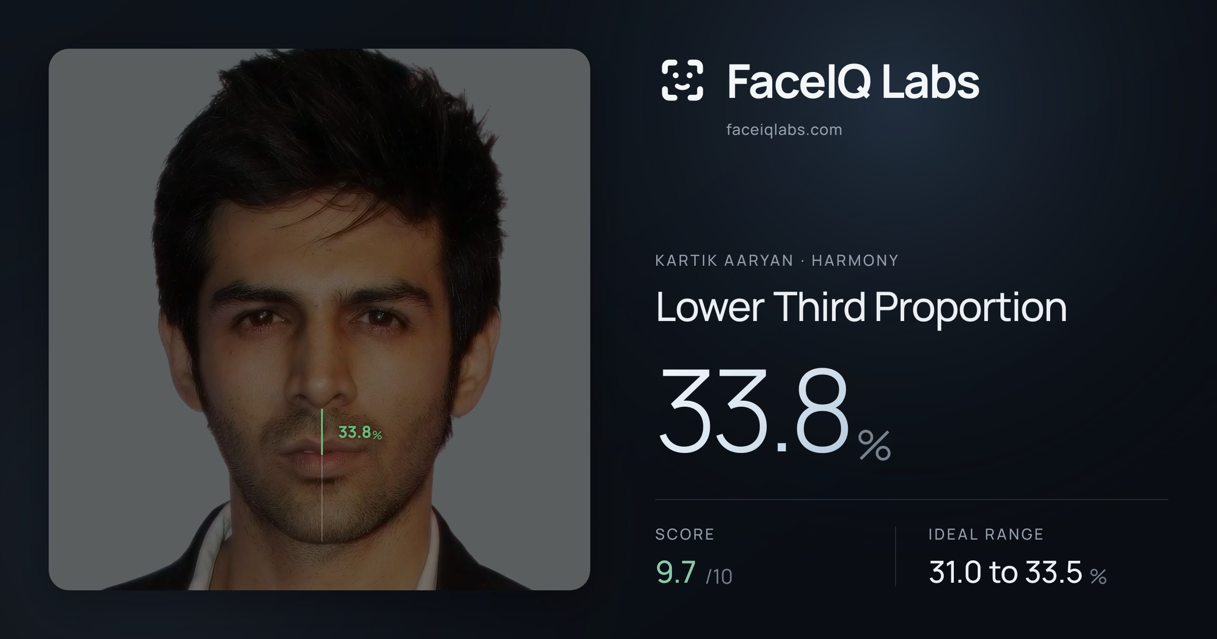 Kartik aaryan Lower Third Proportion: 33.8%, drawn on the photo