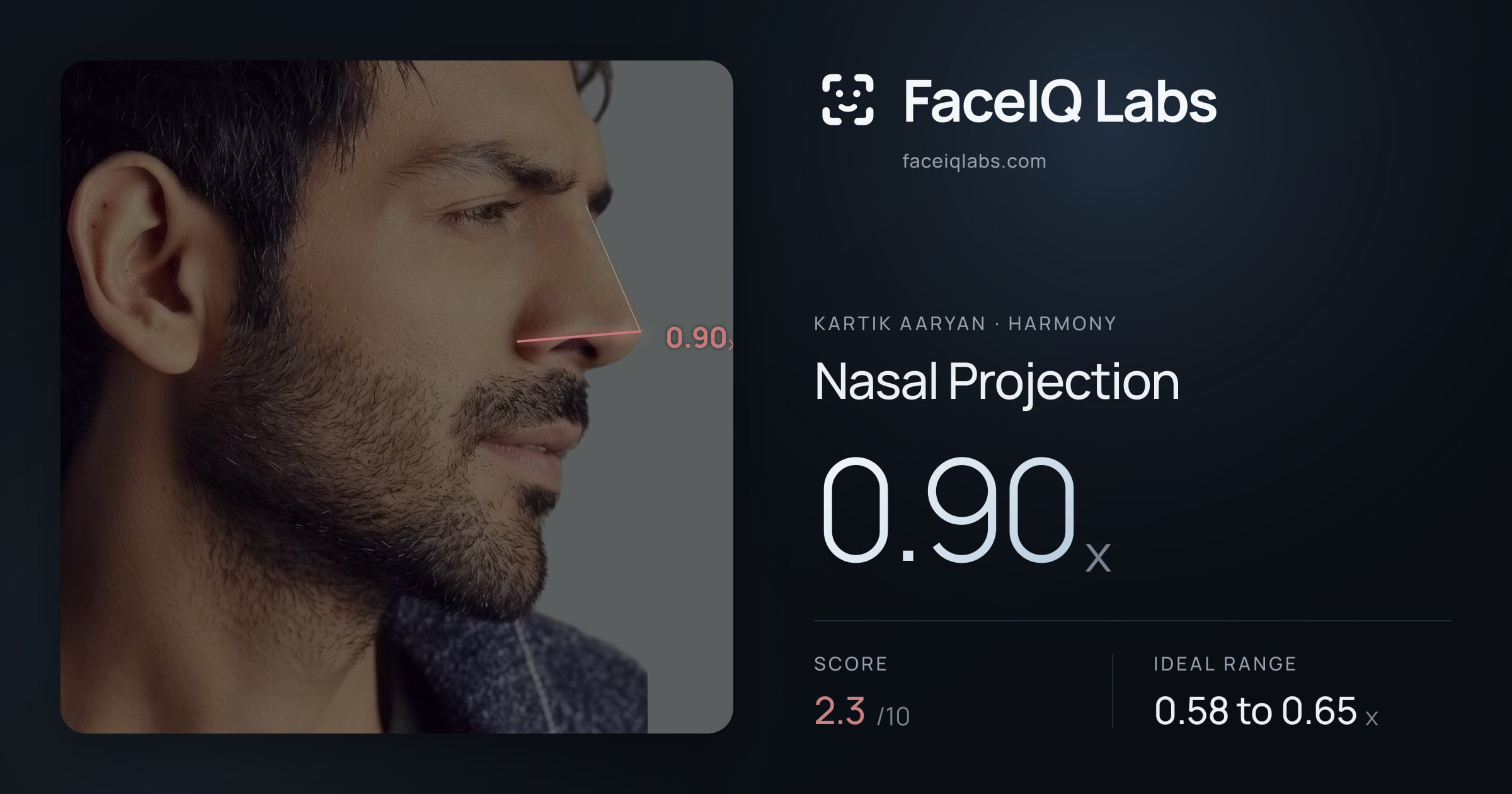 Kartik aaryan Nasal Projection: 0.90x, drawn on the photo