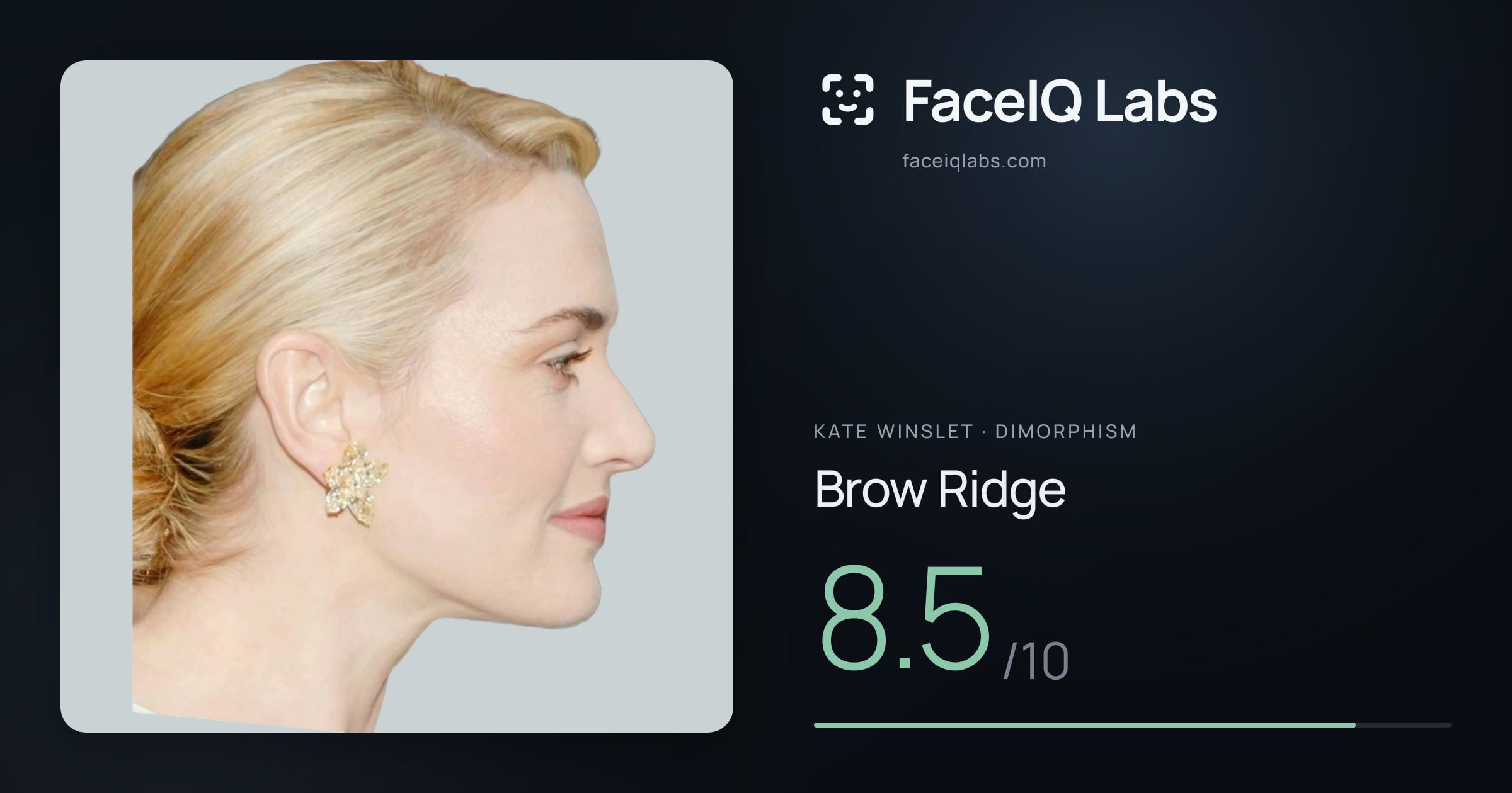 Kate Winslet Brow Ridge: 8.5/10, drawn on the photo