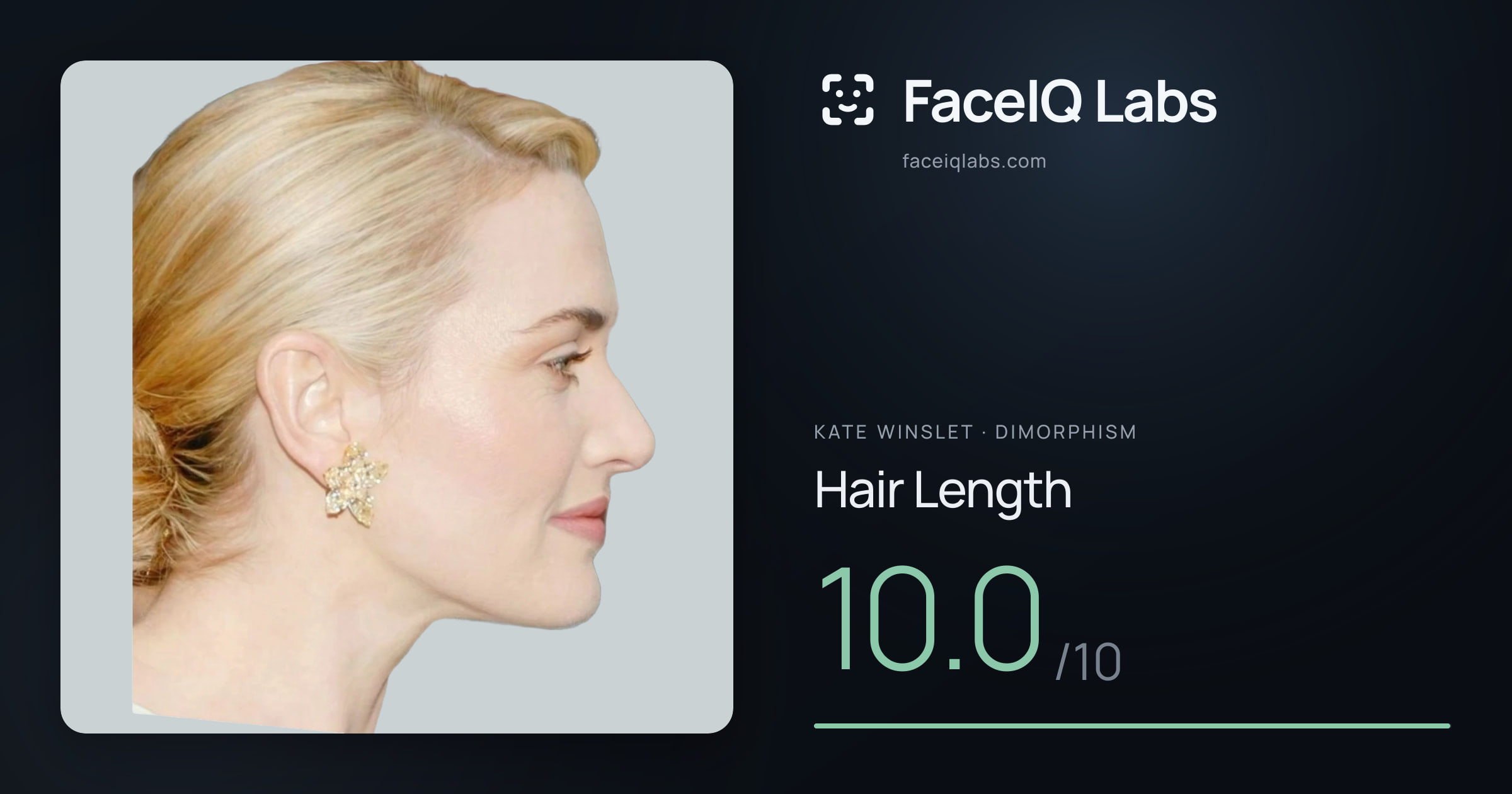 Kate Winslet Hair Length: 10.0/10, drawn on the photo