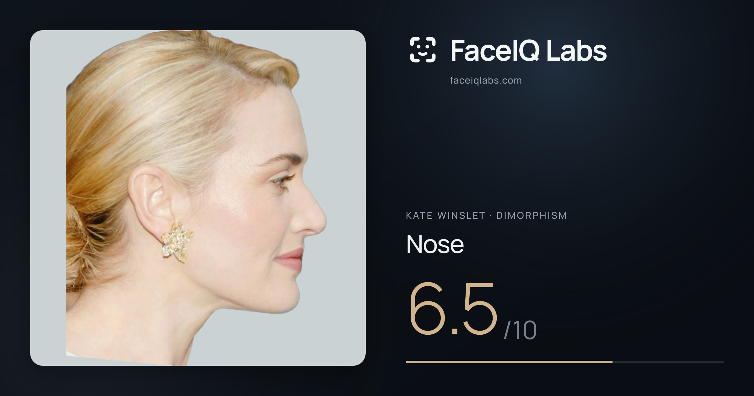 Kate Winslet Nose: 6.5/10, drawn on the photo