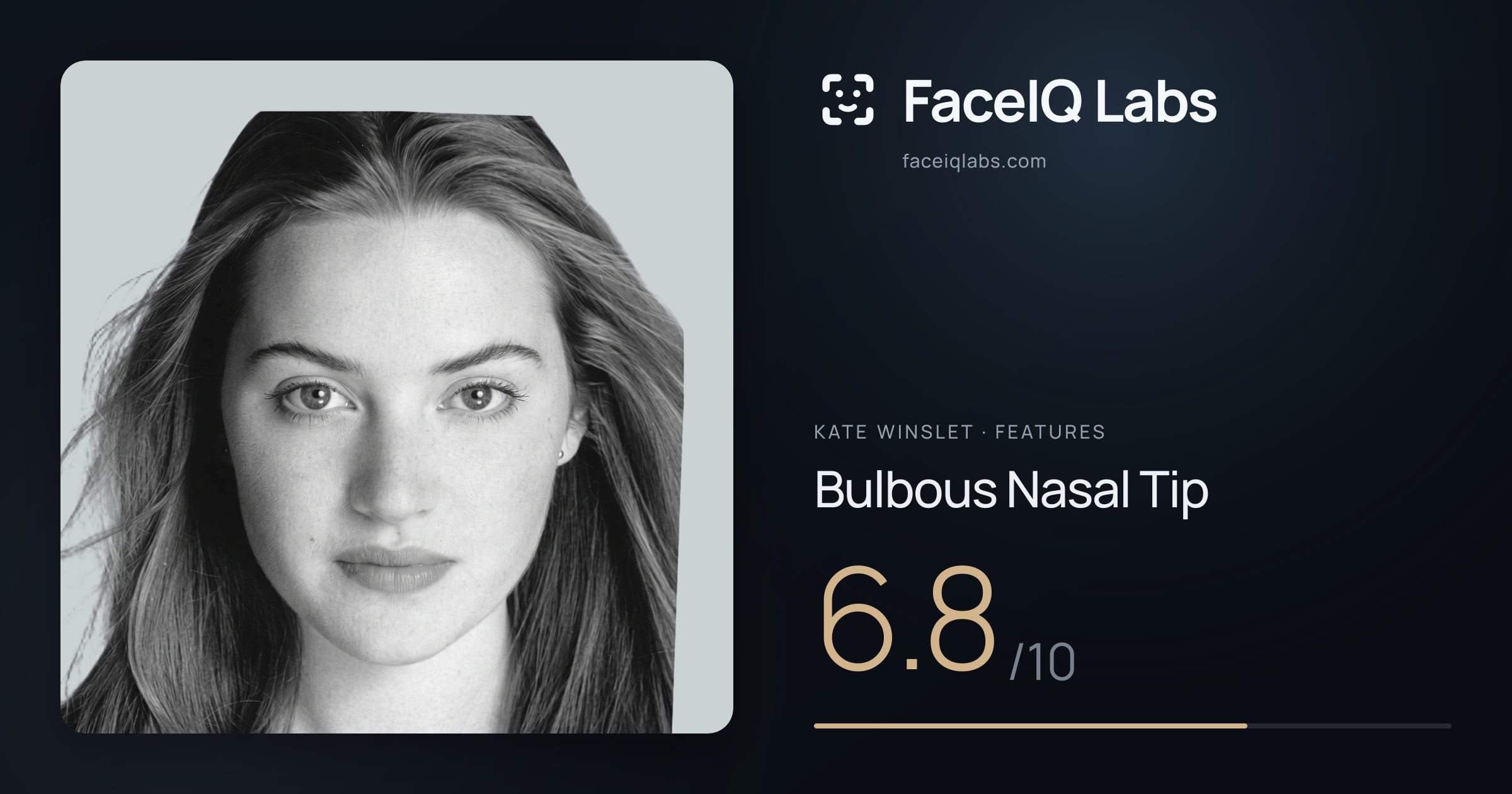 Kate Winslet Bulbous Nasal Tip: 6.8/10, drawn on the photo