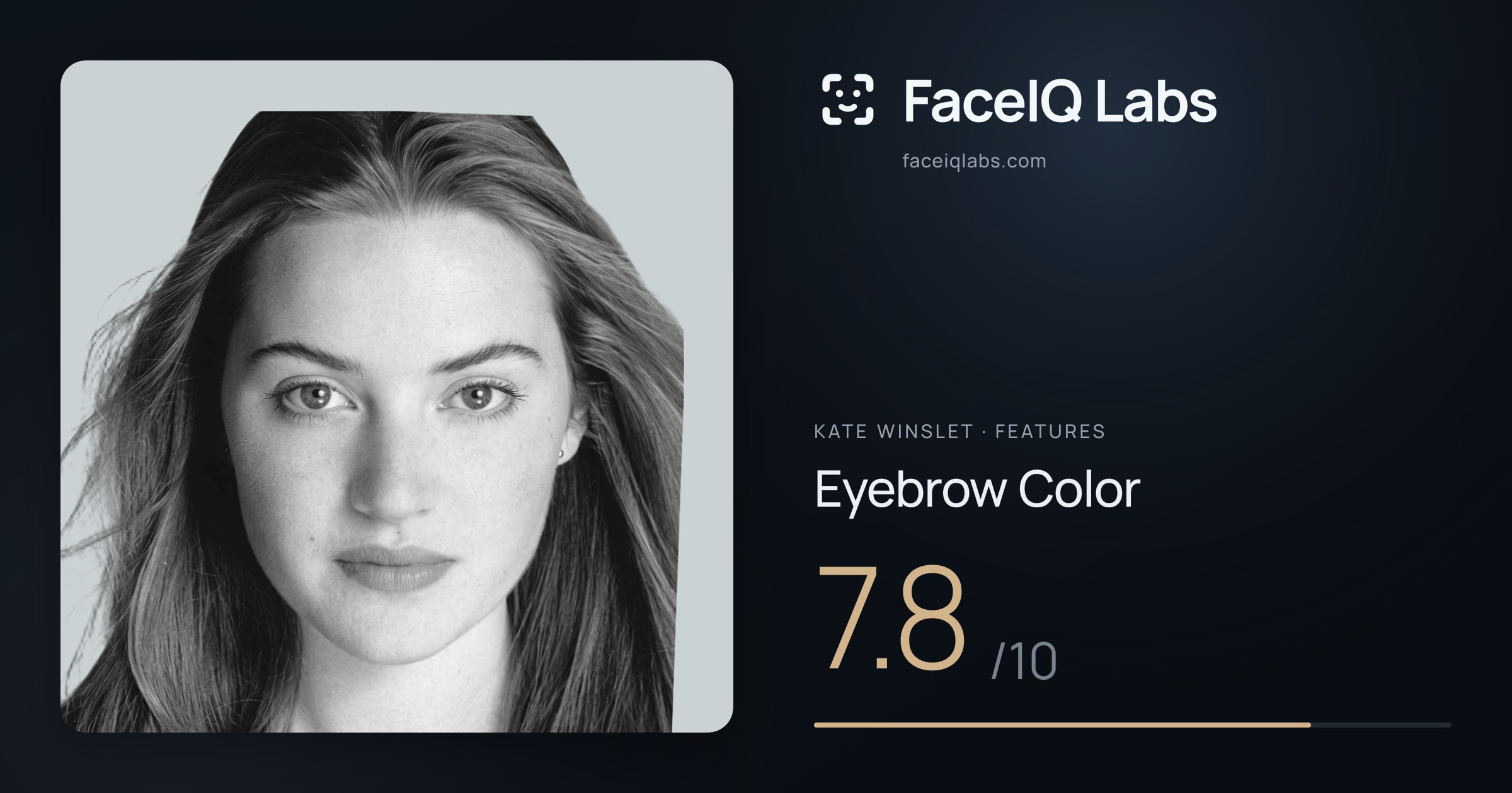 Kate Winslet Eyebrow Color: 7.8/10, drawn on the photo