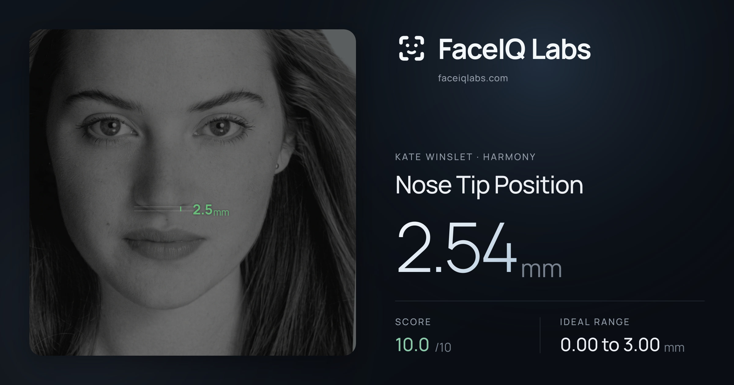 Kate Winslet Nose Tip Position: 2.54mm, drawn on the photo