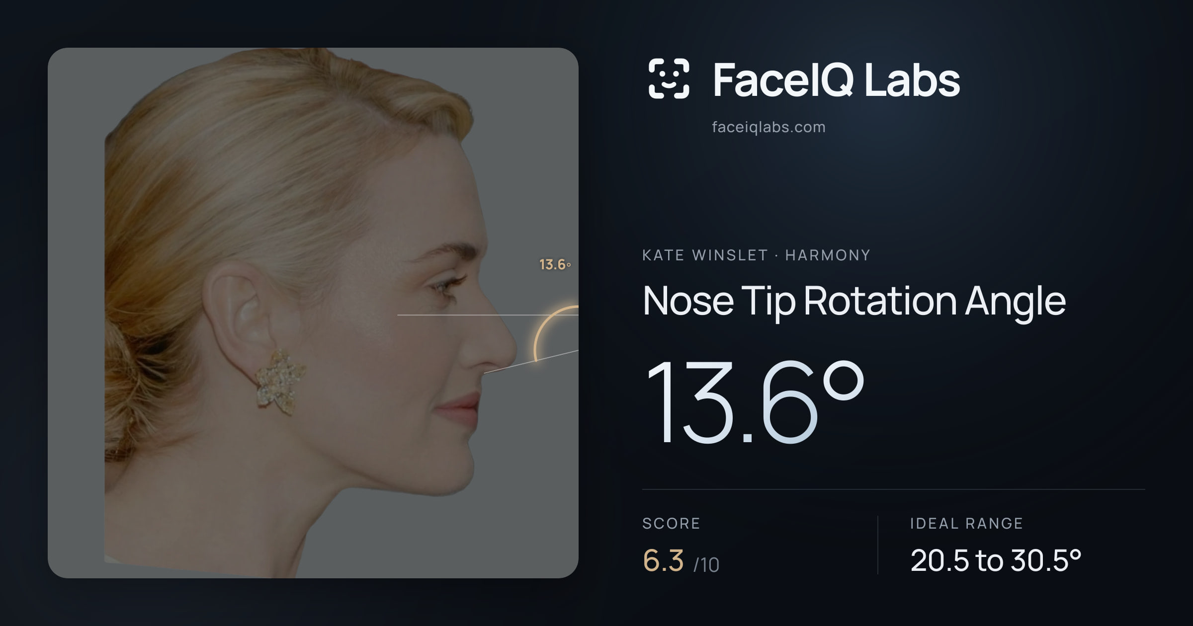 Kate Winslet Nose Tip Rotation Angle: 13.6°, drawn on the photo