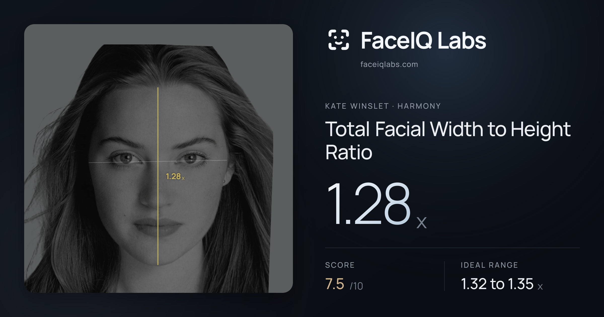 Kate Winslet Total Facial Width to Height Ratio: 1.28x, drawn on the photo