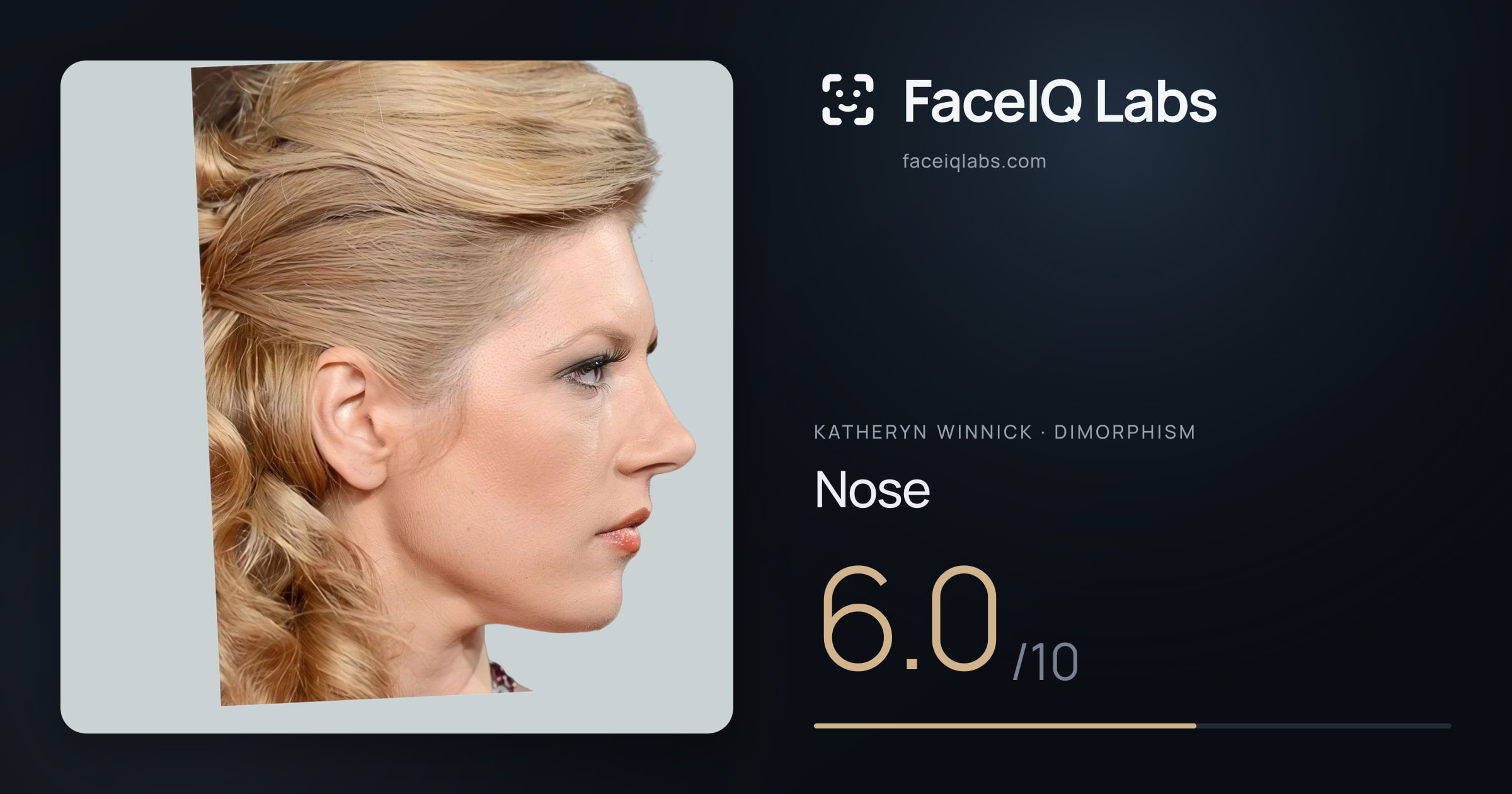 Katheryn Winnick Nose: 6.0/10, drawn on the photo