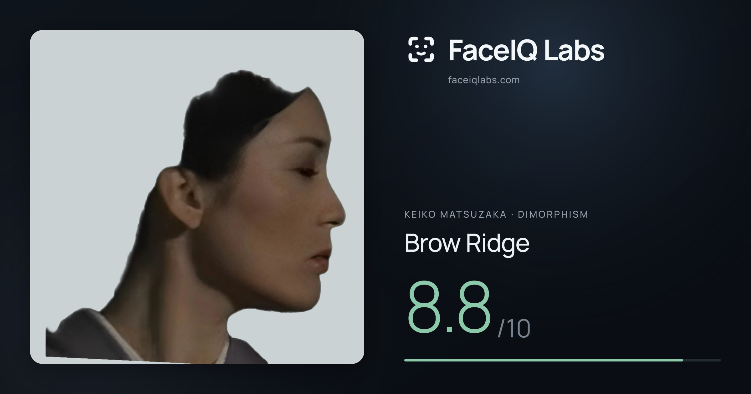 Keiko Matsuzaka Brow Ridge: 8.8/10, drawn on the photo