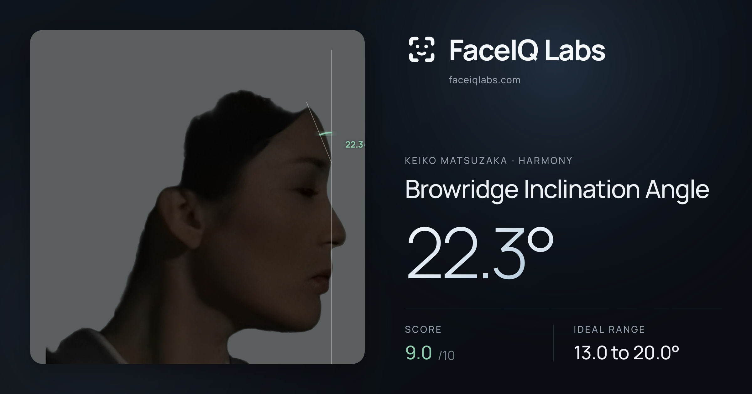 Keiko Matsuzaka Browridge Inclination Angle: 22.3°, drawn on the photo