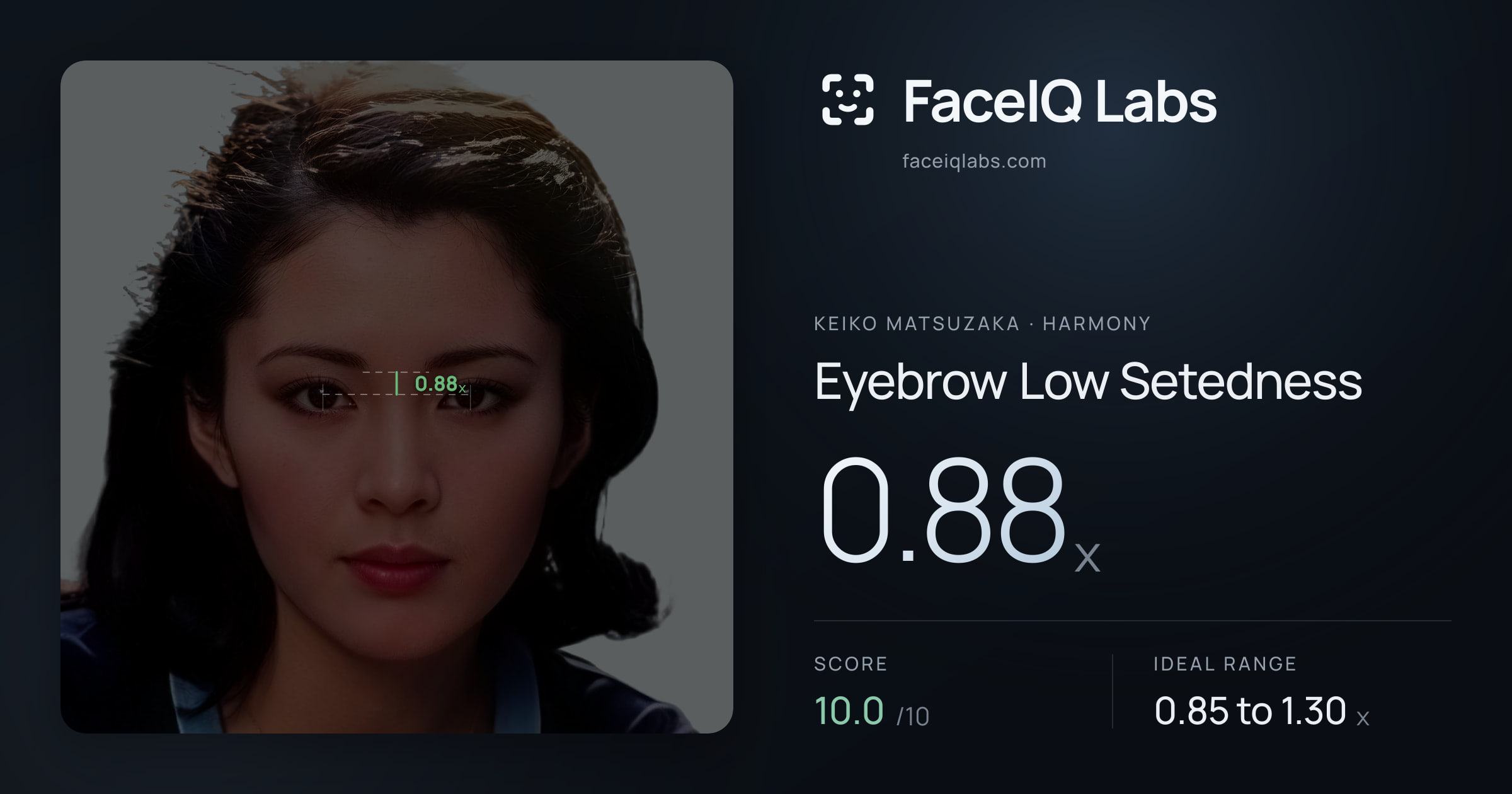 Keiko Matsuzaka Eyebrow Low Setedness: 0.88x, drawn on the photo
