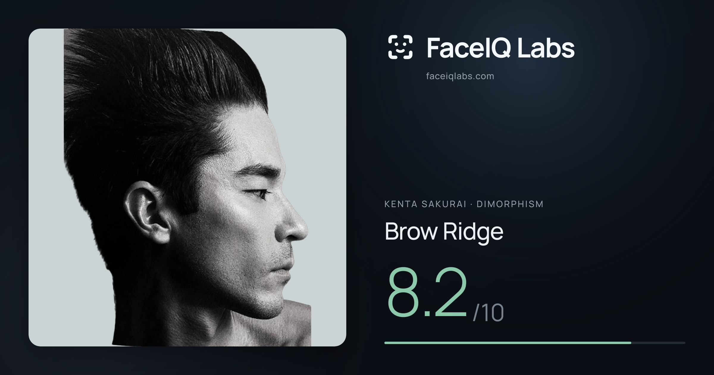 Kenta Sakurai Brow Ridge: 8.2/10, drawn on the photo