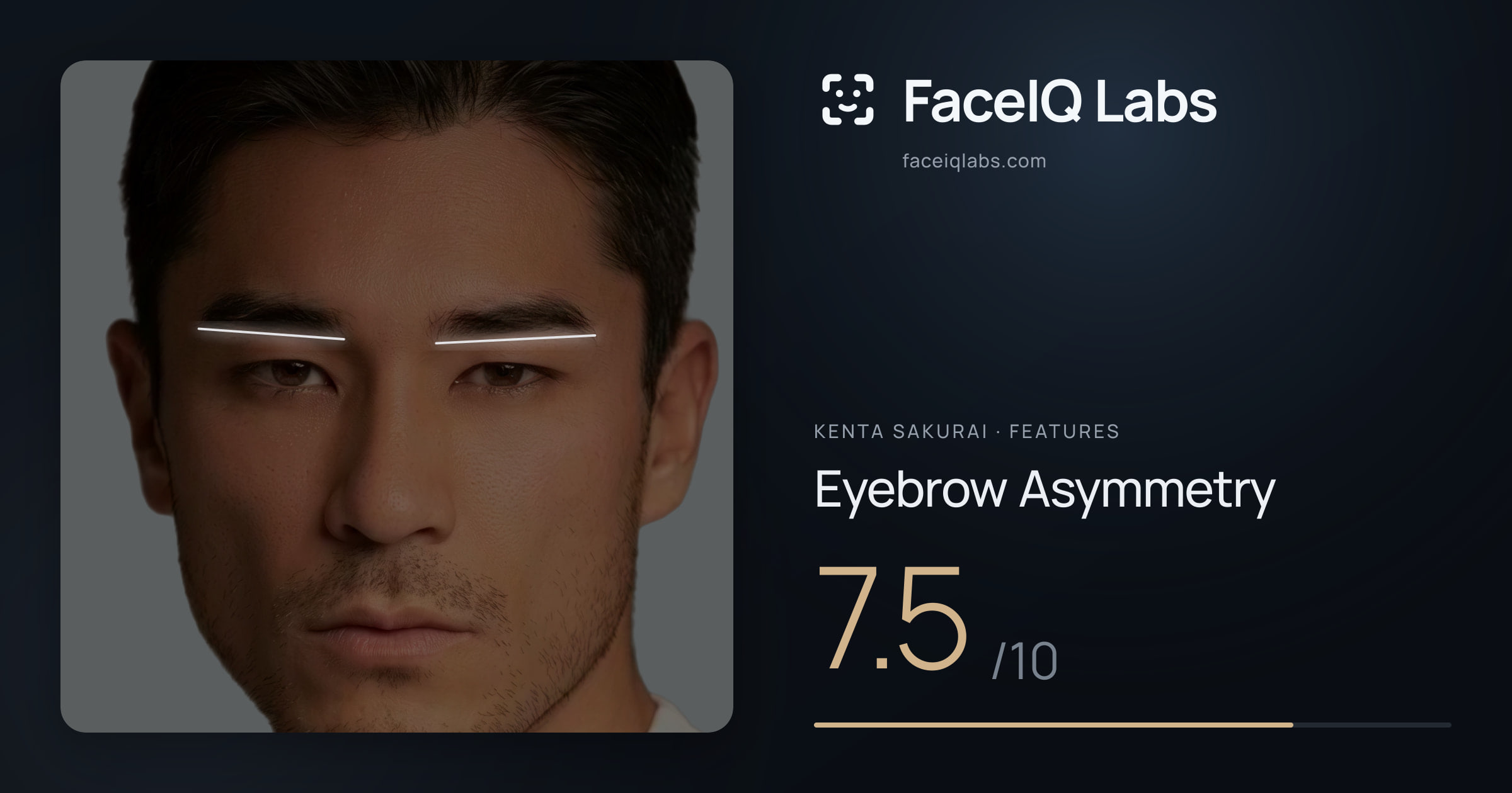 Kenta Sakurai Eyebrow Asymmetry: 7.5/10, drawn on the photo