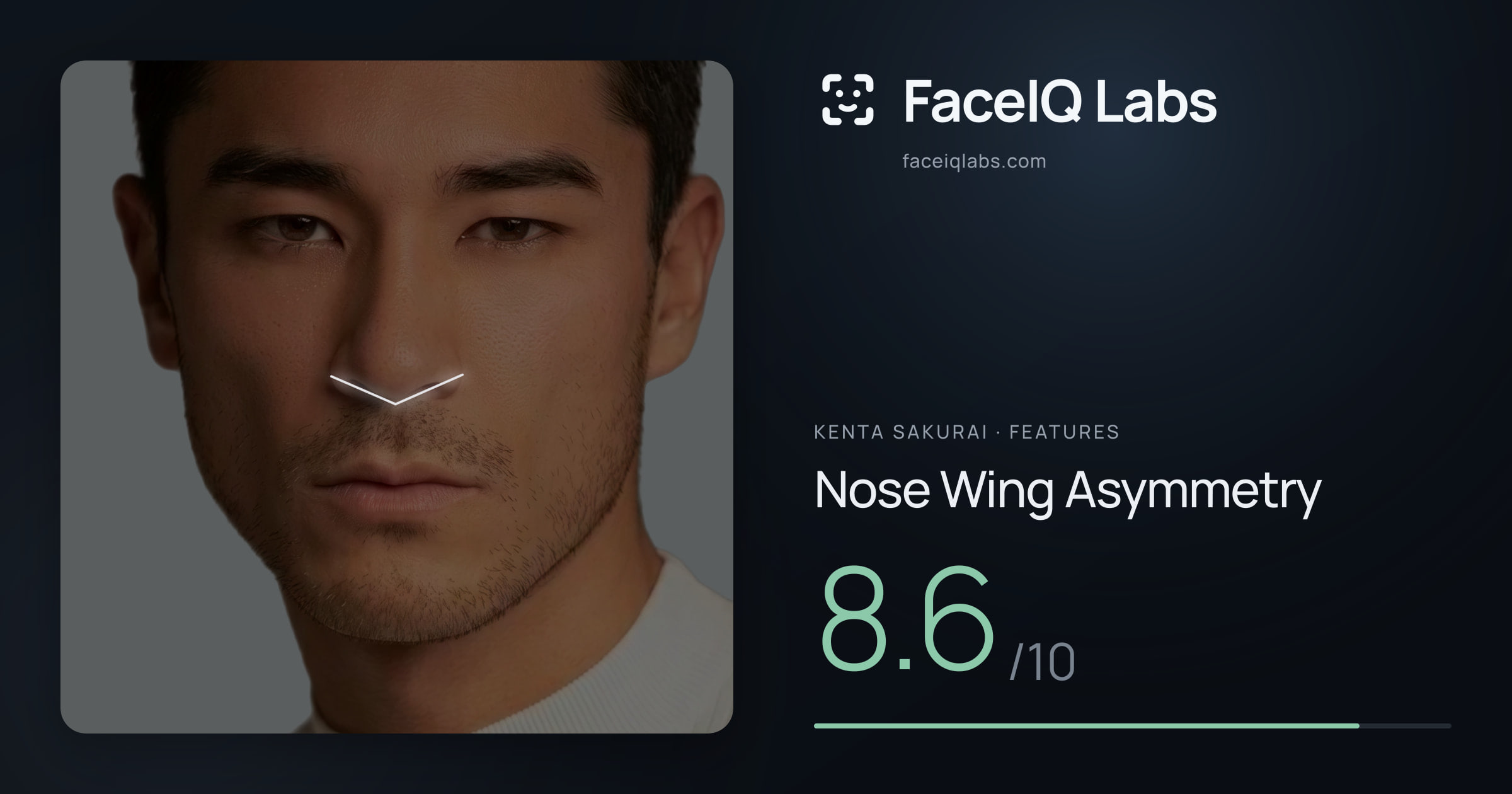 Kenta Sakurai Nose Wing Asymmetry: 8.6/10, drawn on the photo