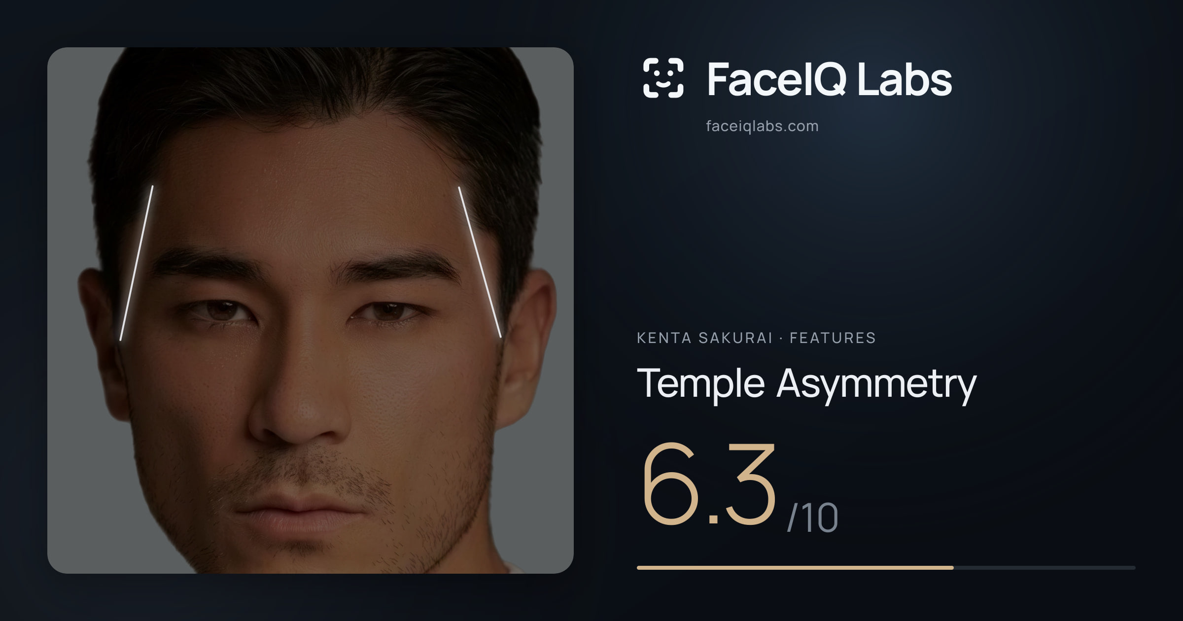Kenta Sakurai Temple Asymmetry: 6.3/10, drawn on the photo